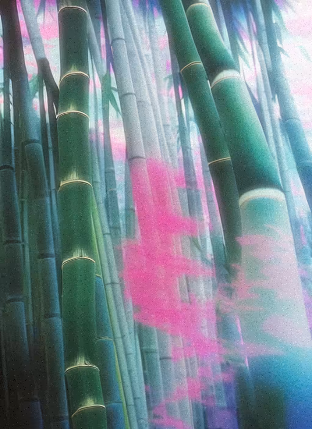 meet me at the bamboo forest where we turned into pink smoke