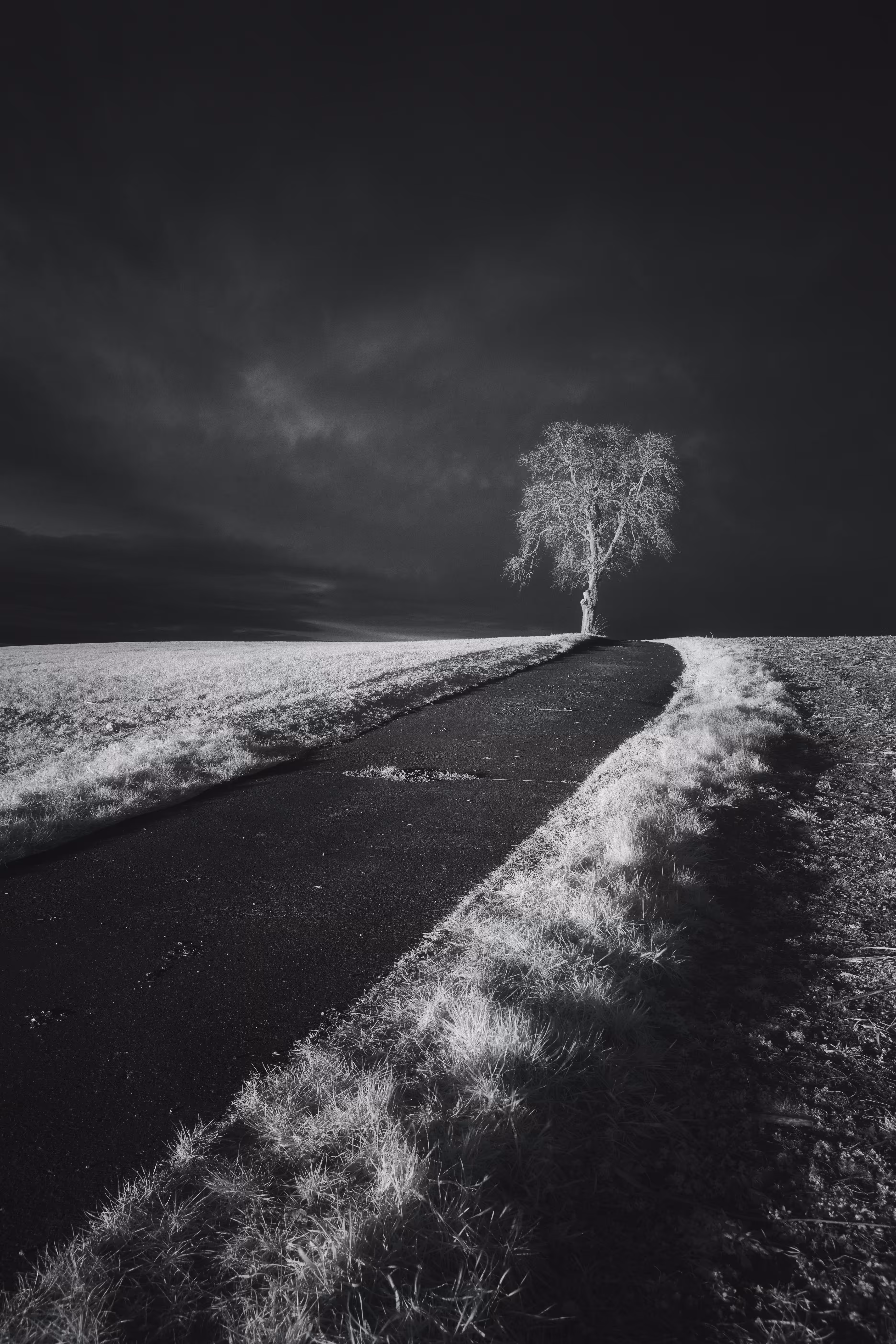 Fading Light