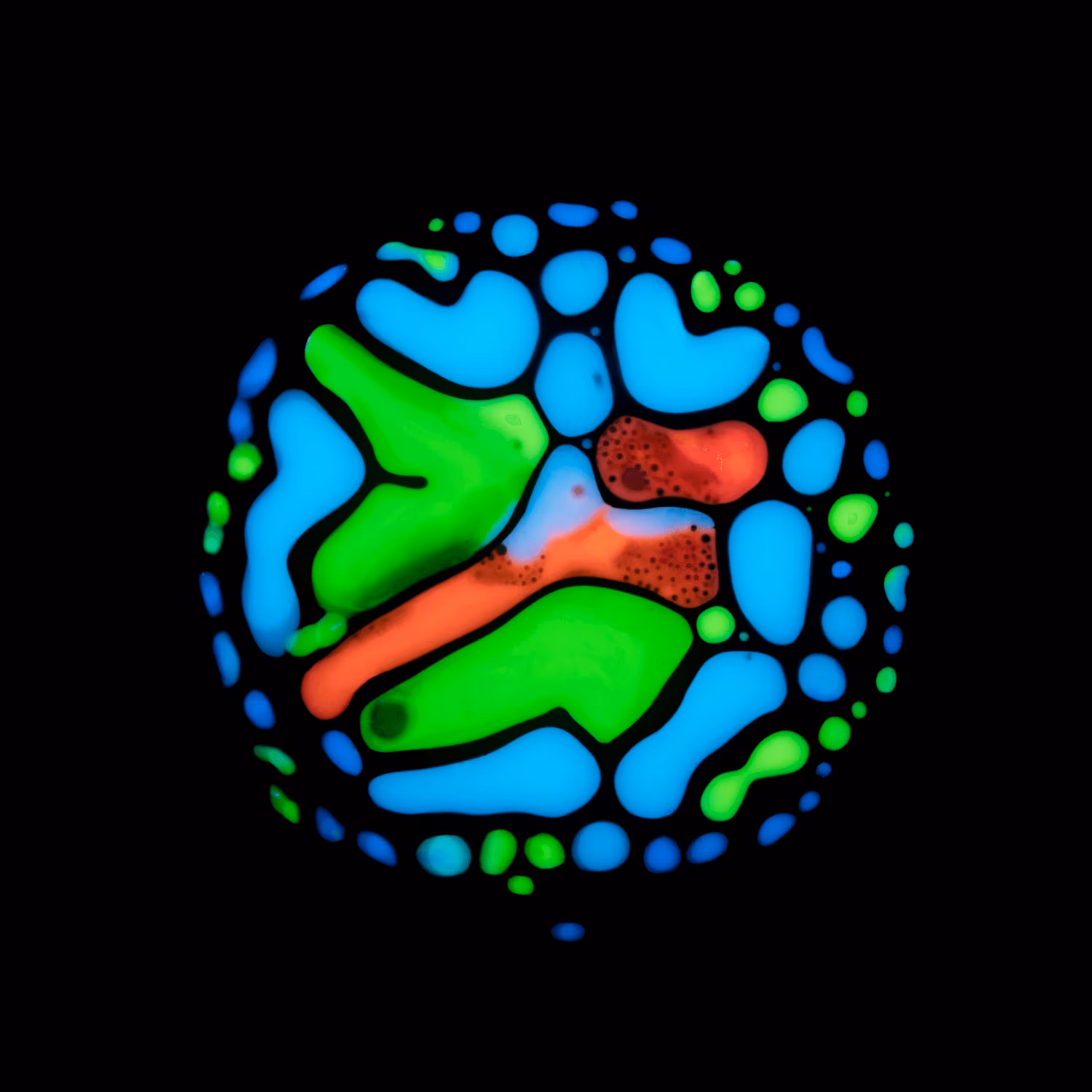 Haematopoiesis #28