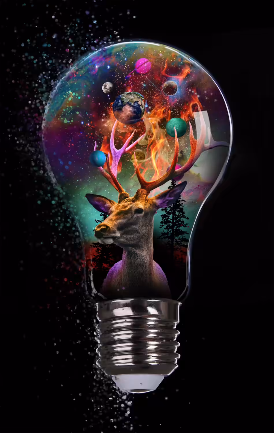 In Light of Nature Motion