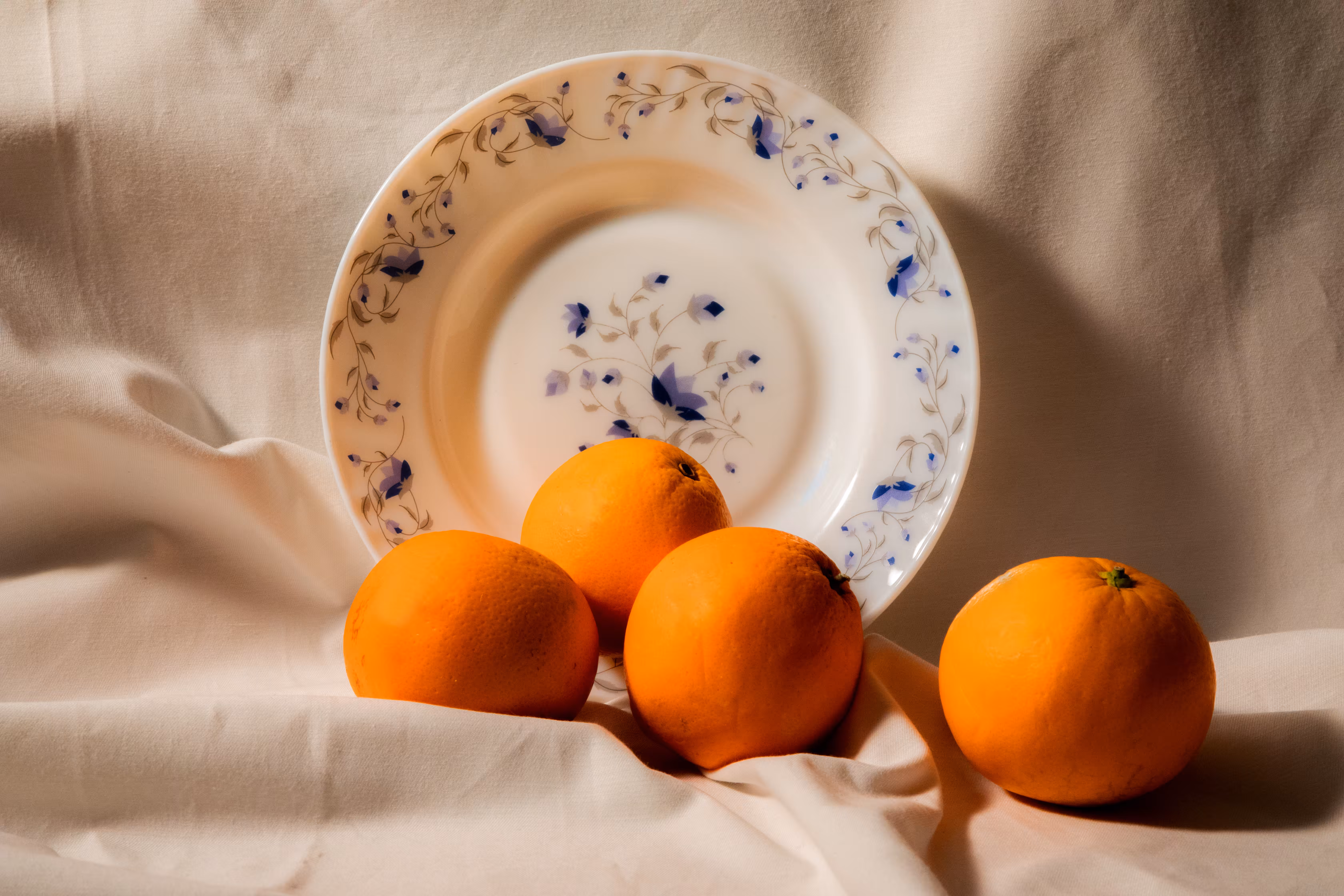 Still Life: The Traitor #4