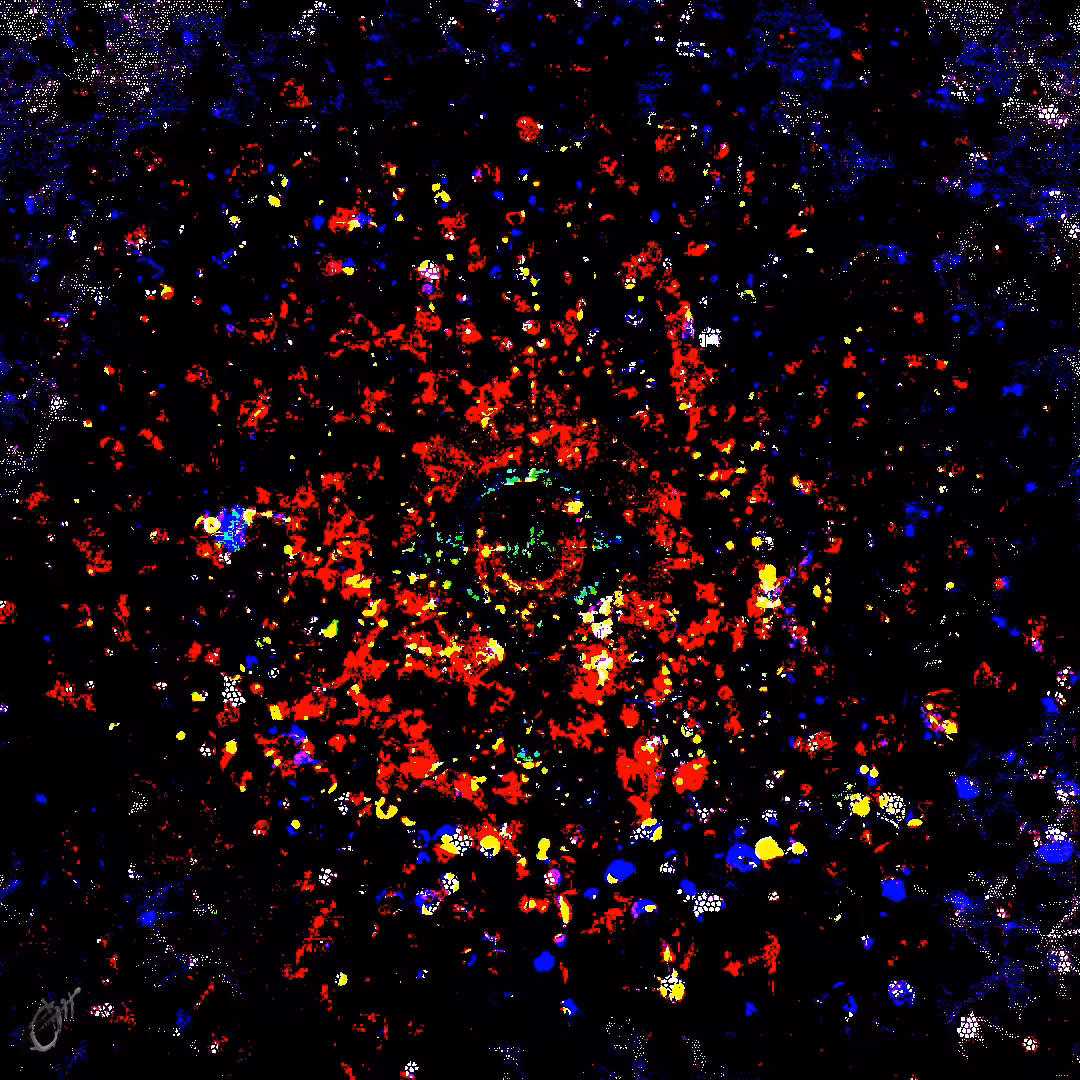 Mind's eye