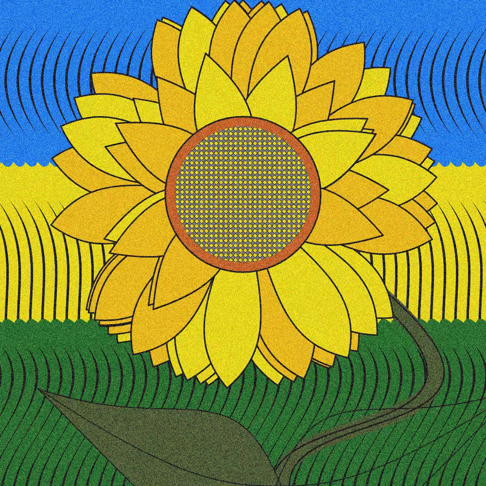  My sunflower #4