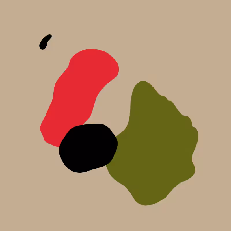 Illusions #2