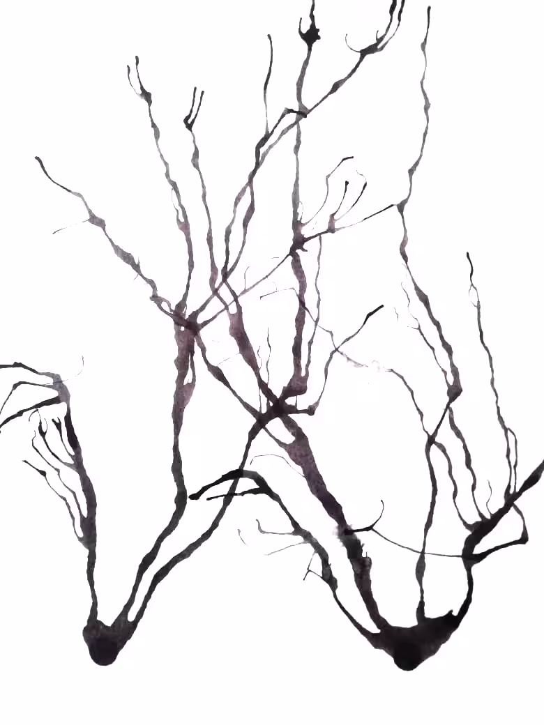 Dark Trails #13