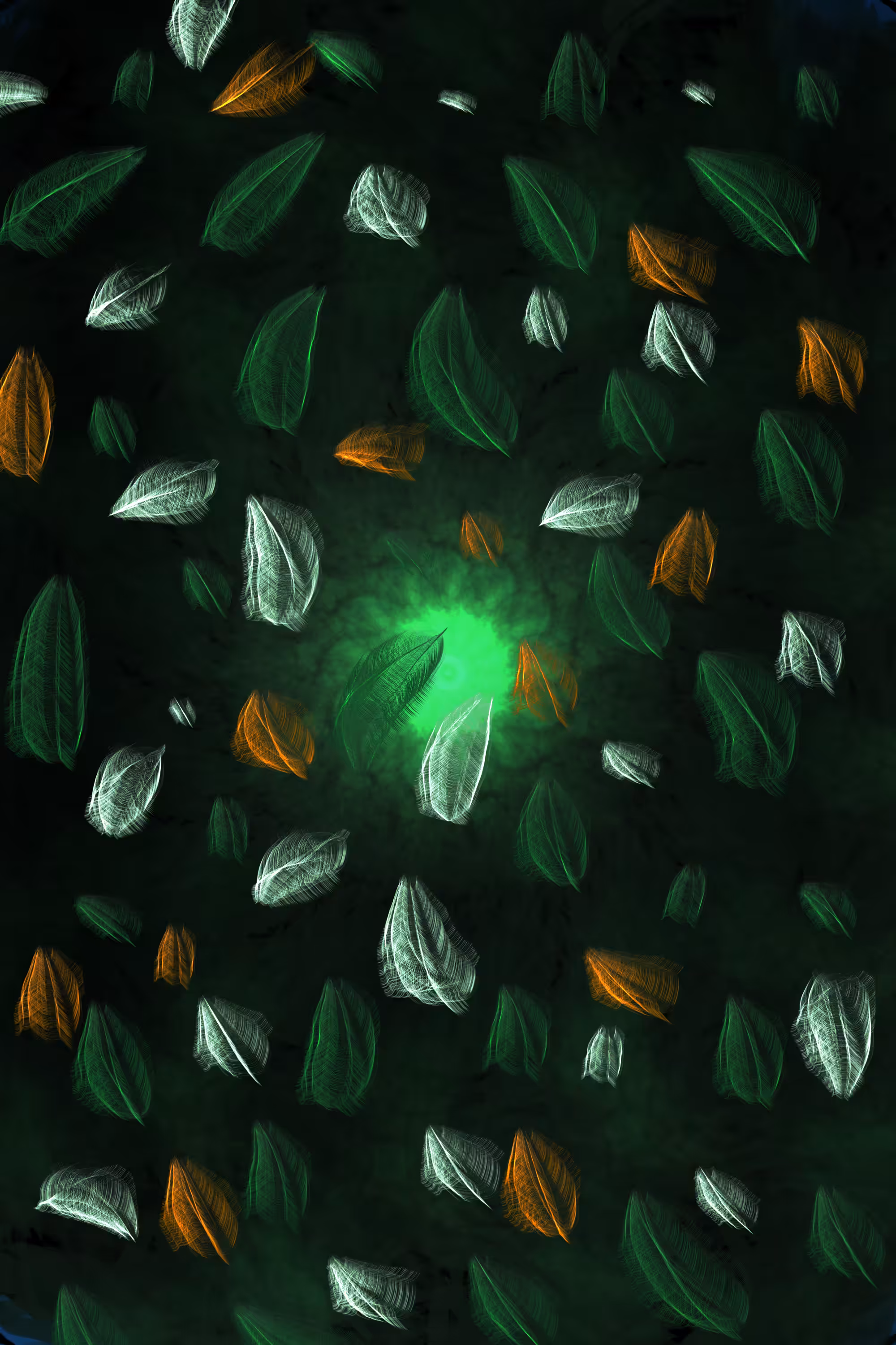 Leaves