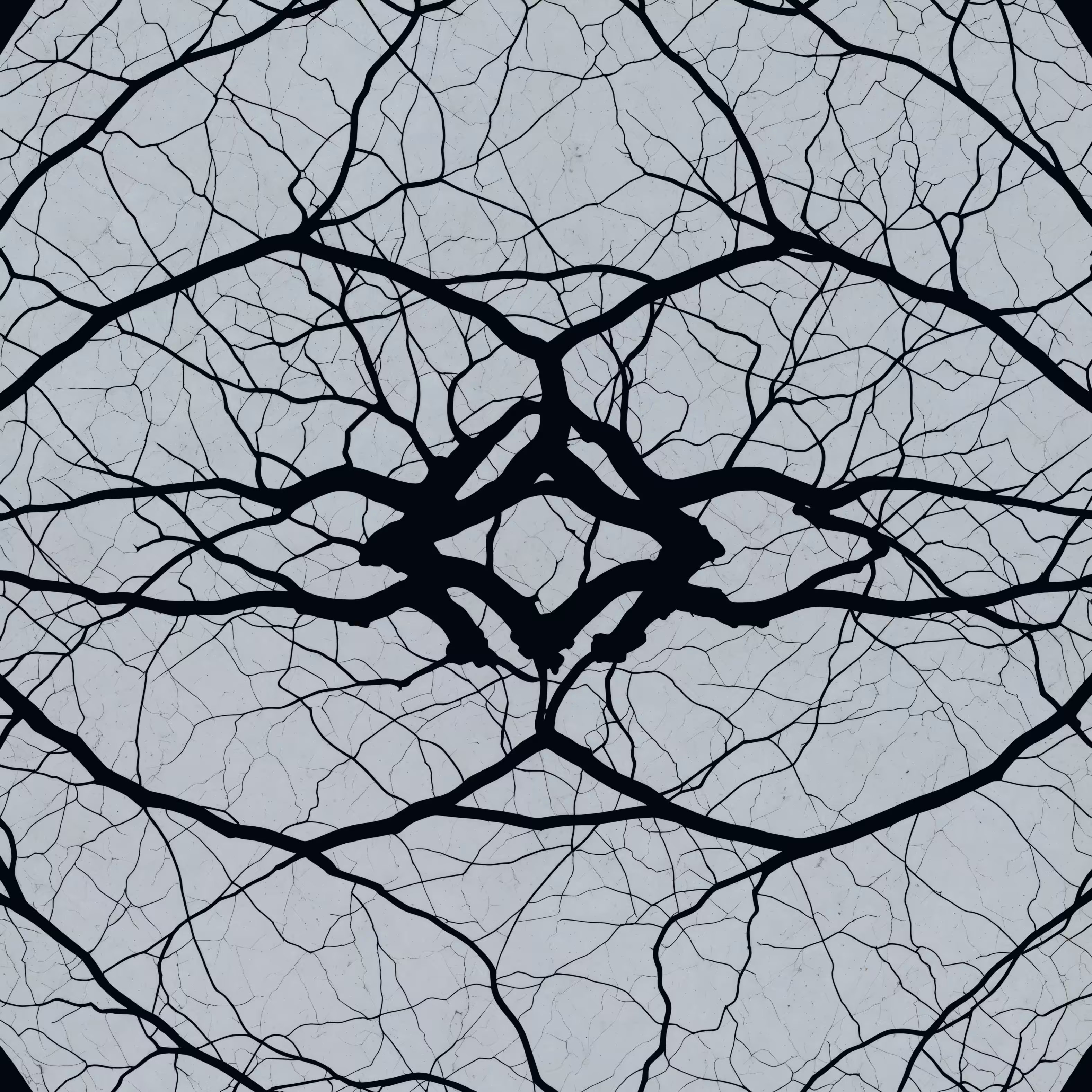 Branches Veins Marble 8K