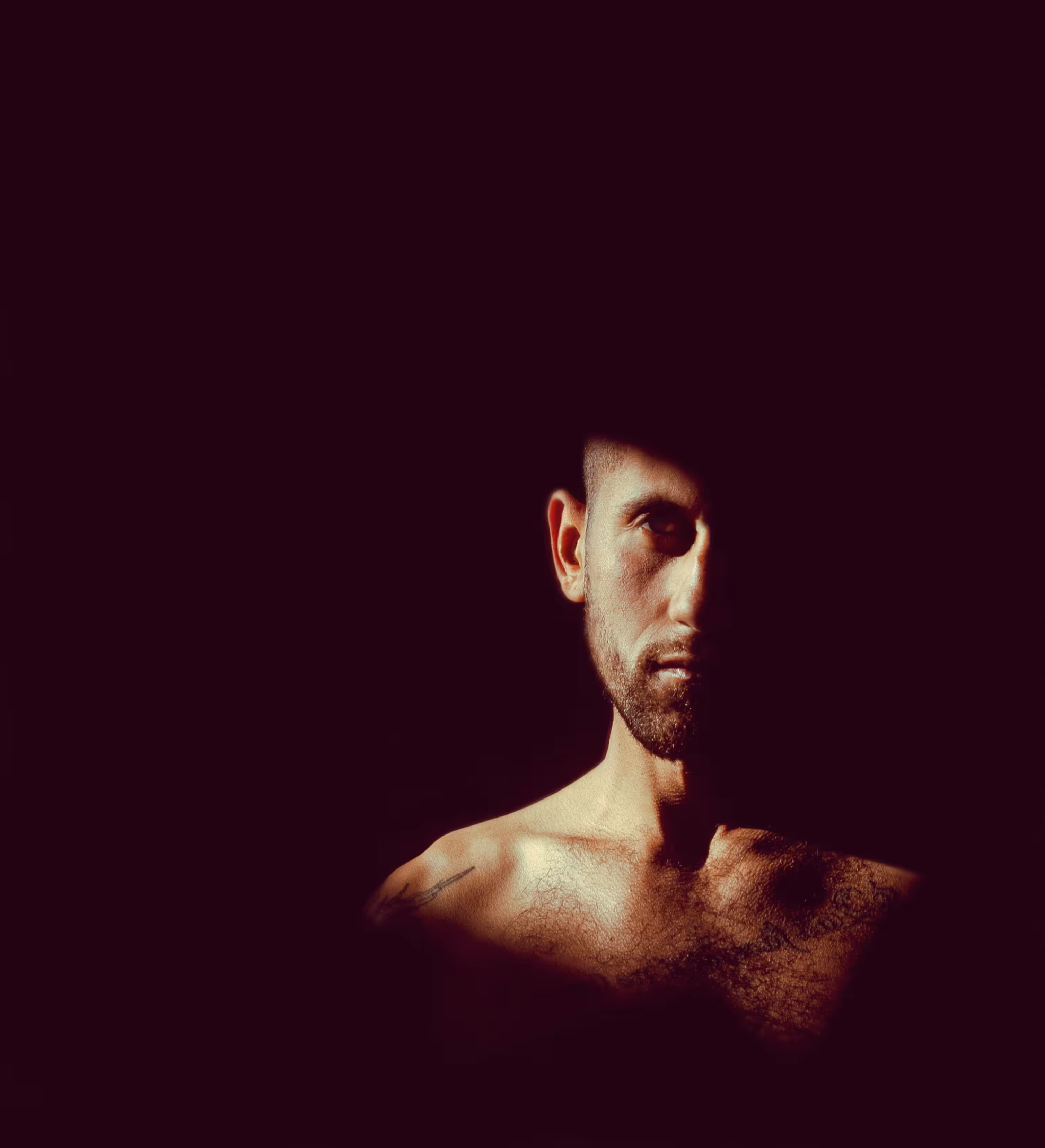 ASSIMILATING THE SHADOW