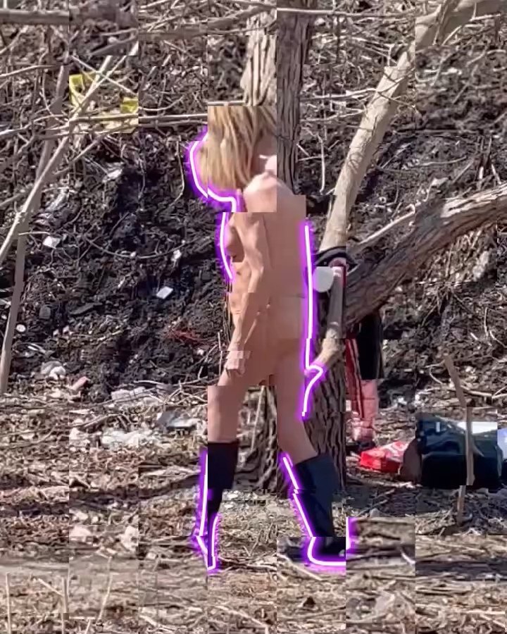 shinrin-yoku