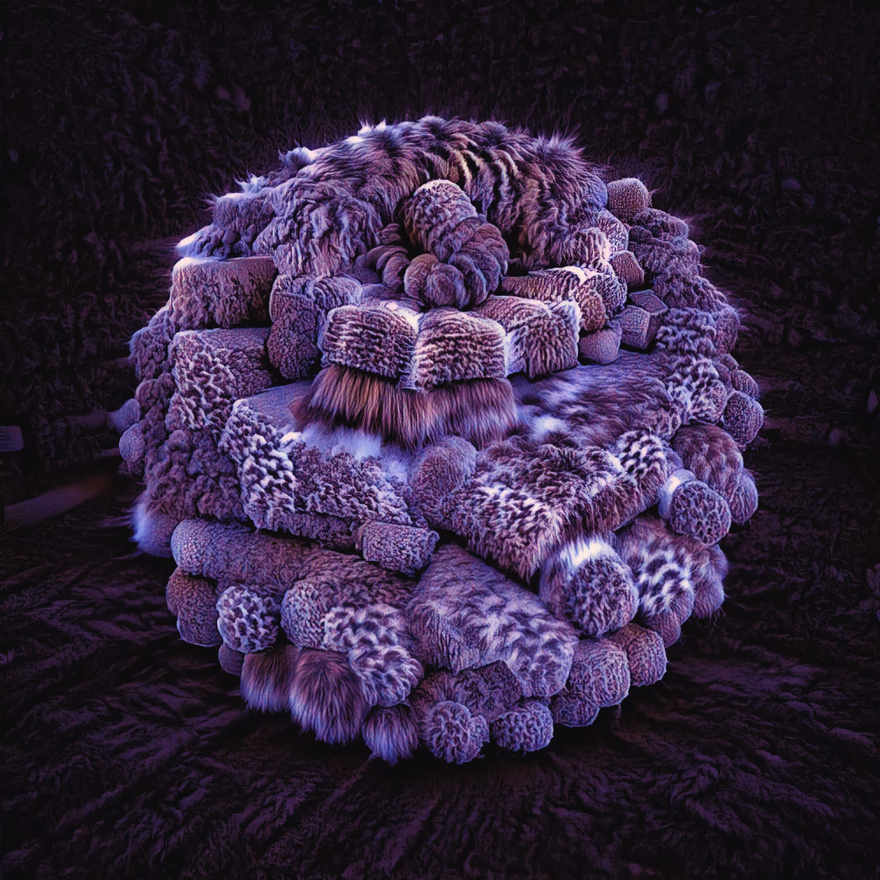 Fuzzy Wuzzy