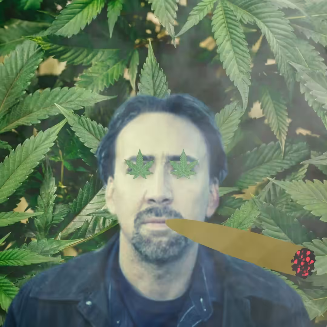 nicolas weed _\|/_