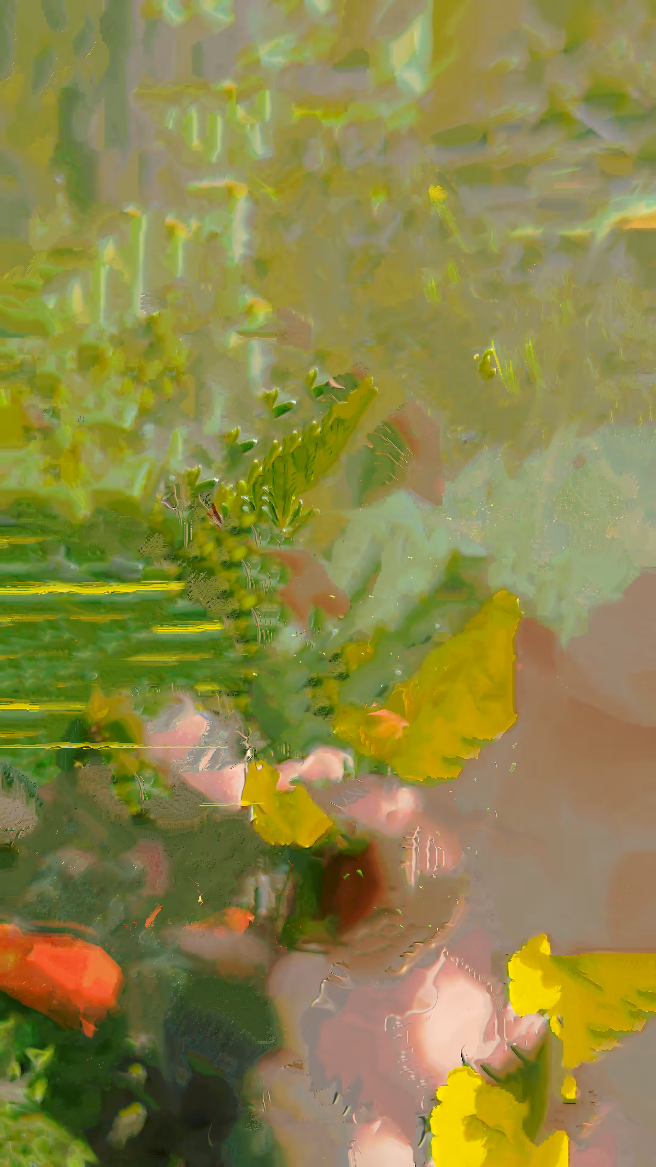 Coalescense / Yield