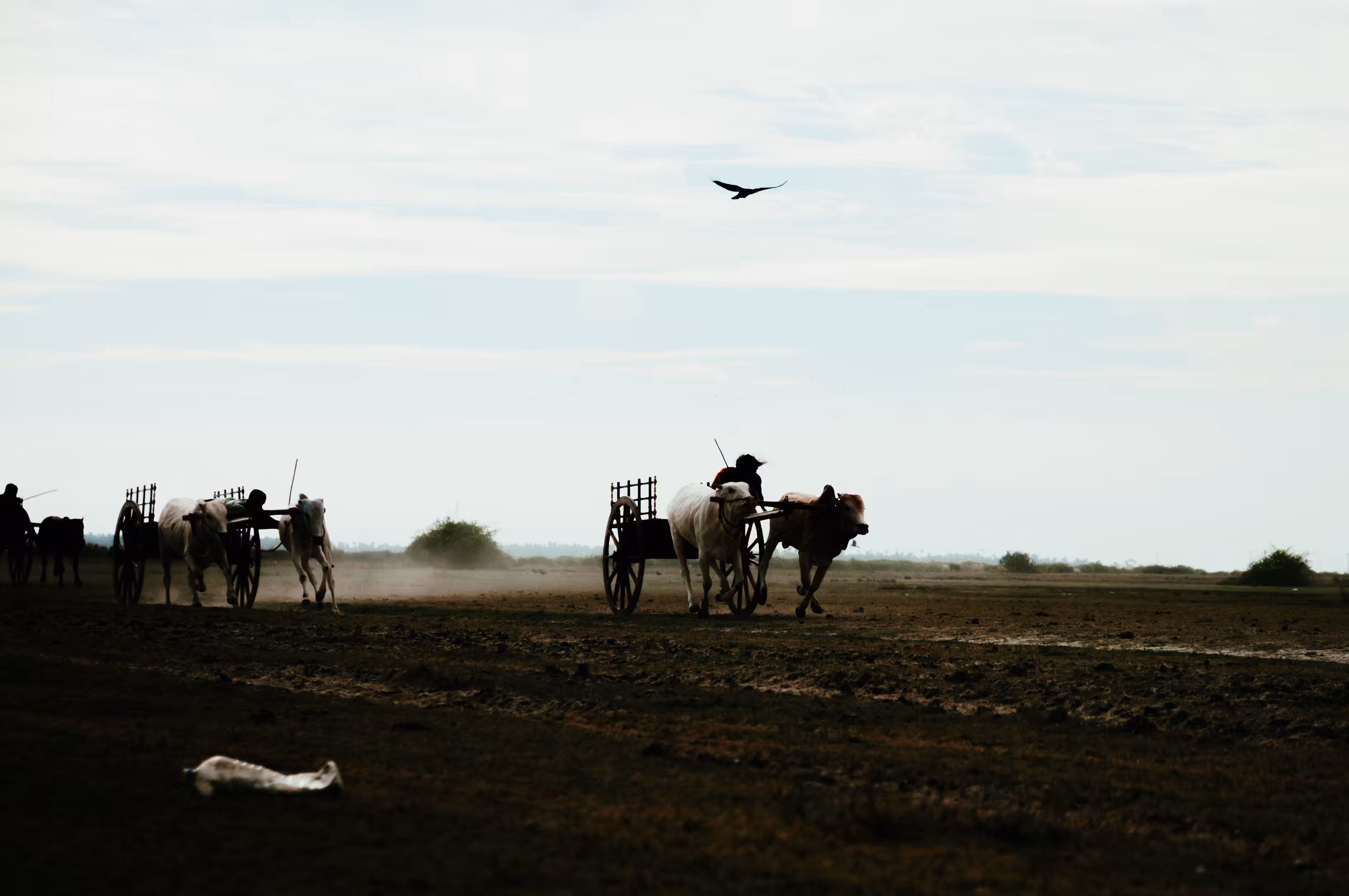 Through the Dust