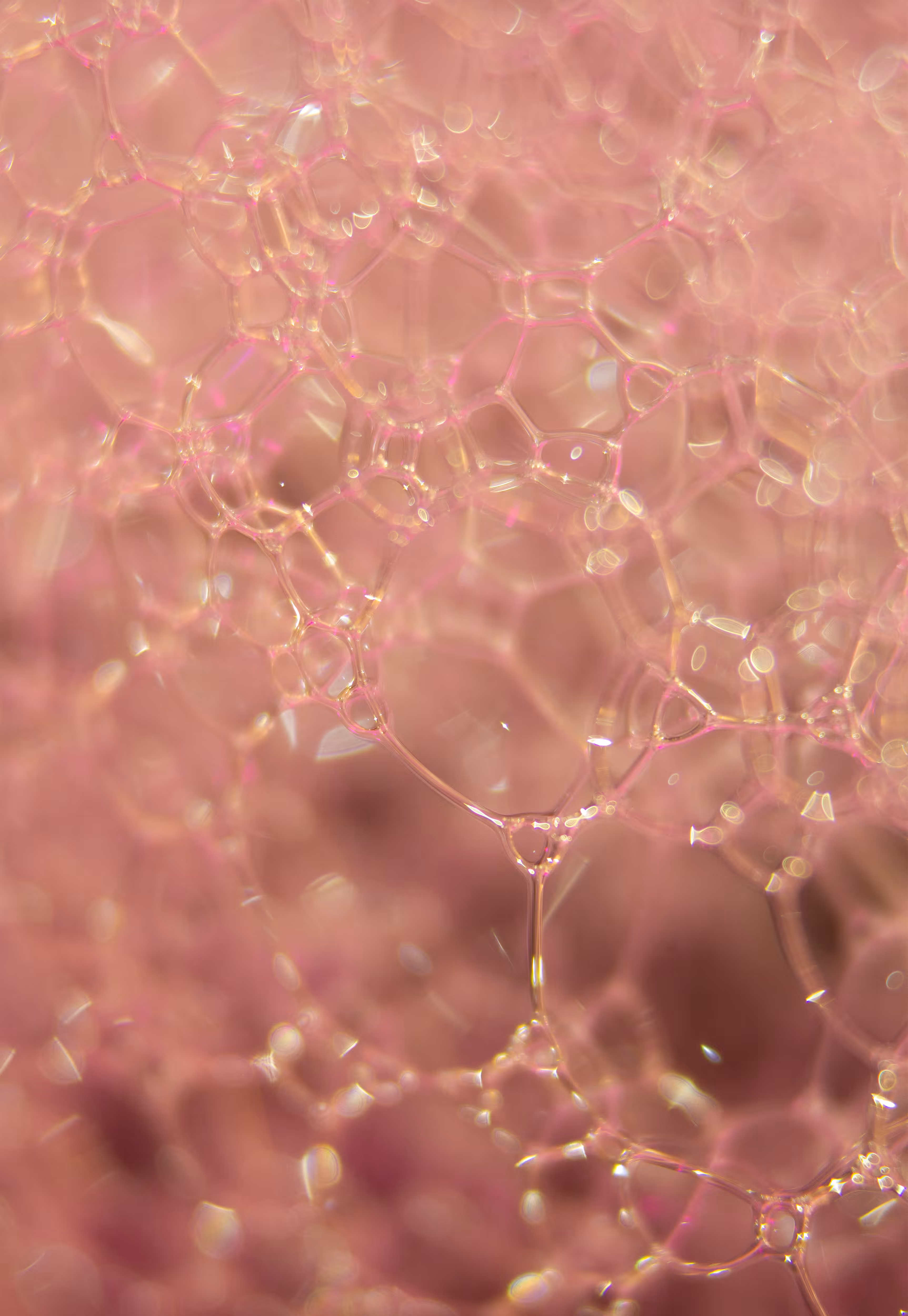 Abstract World of Soap Bubbles: #220 Bubbles