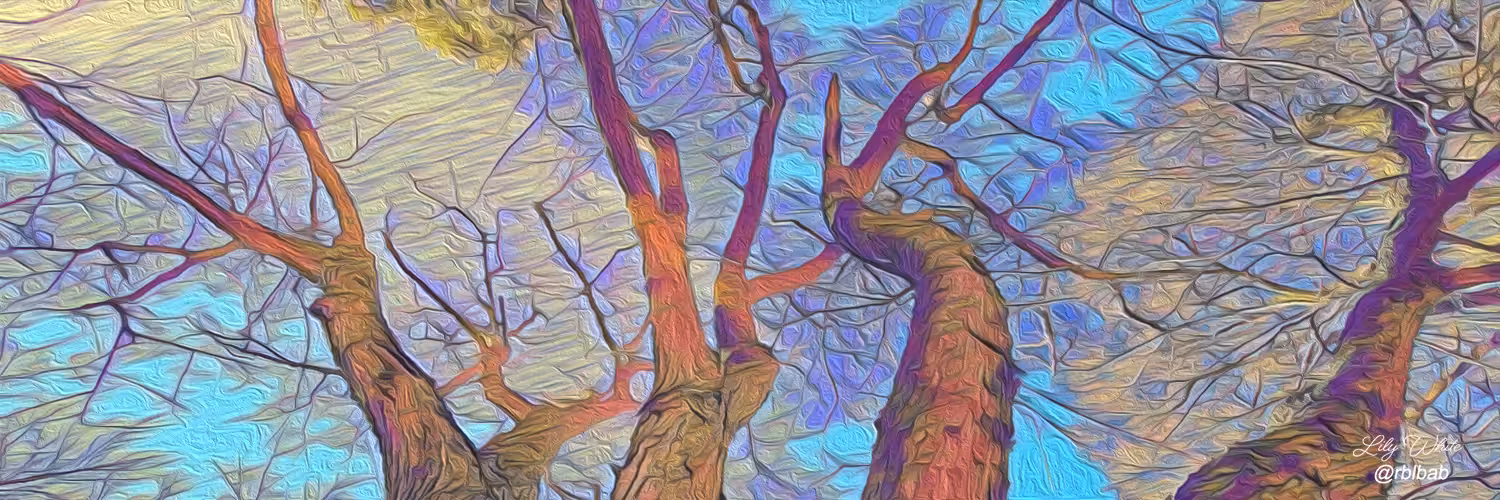Social Media Banner 37