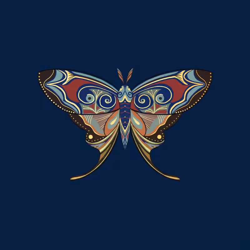 The Moth Experiment - Special Edition #23