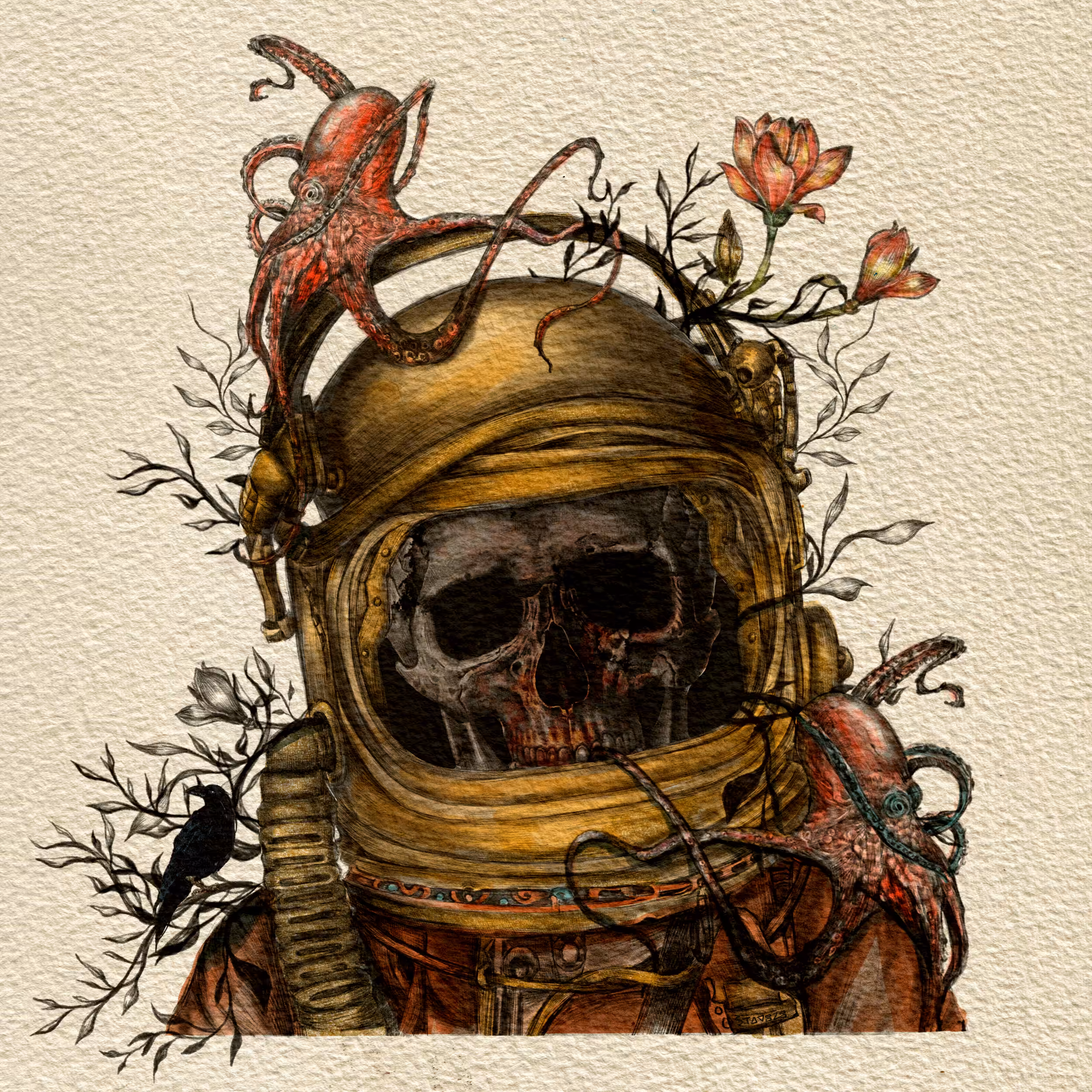 ANOTHER SPACE