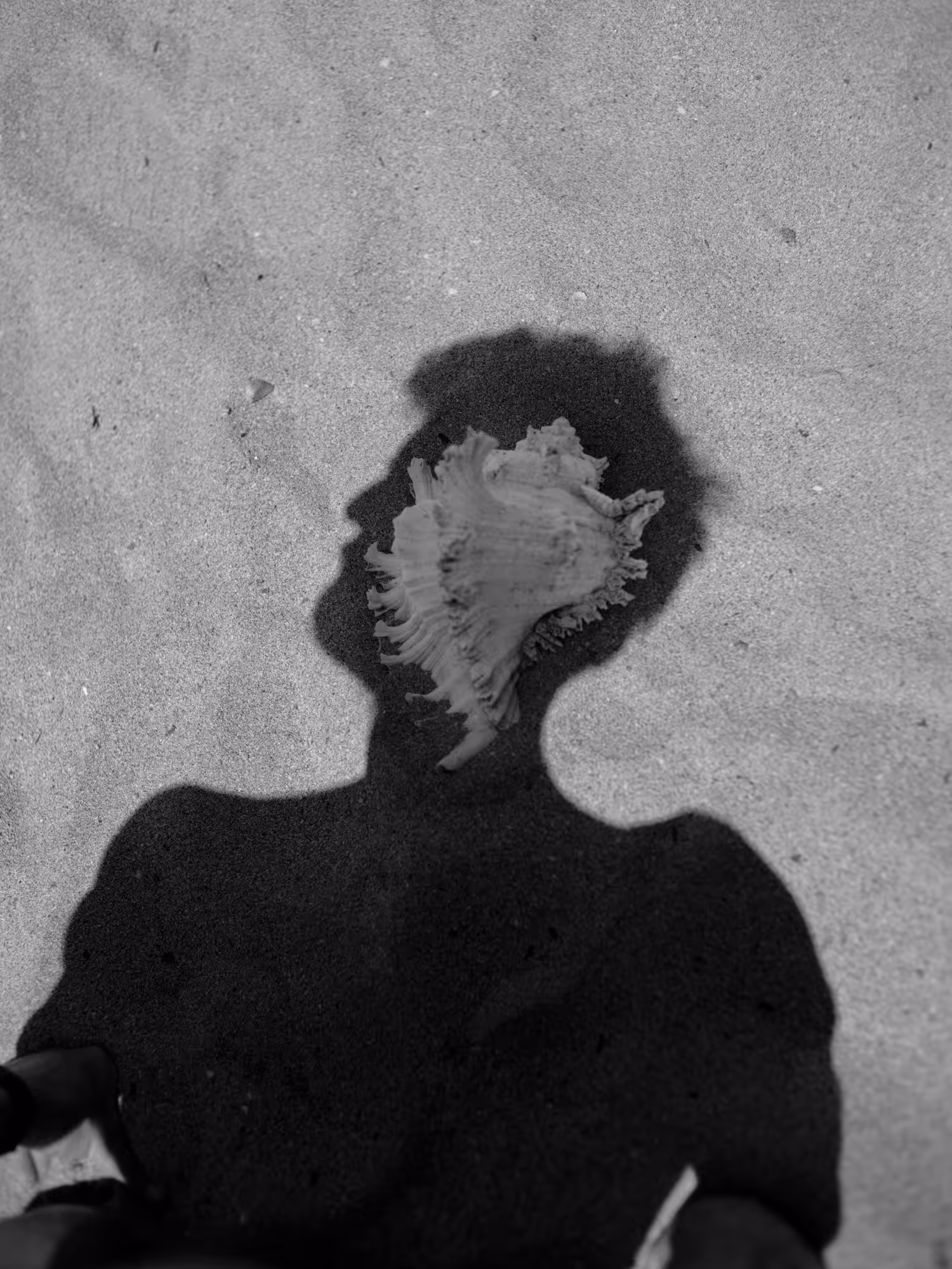 Daydreams