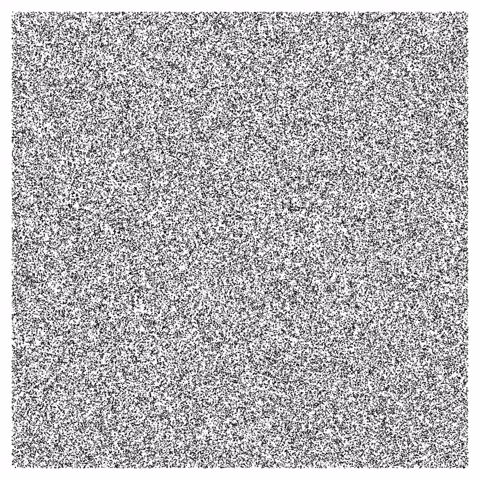 Noise #24