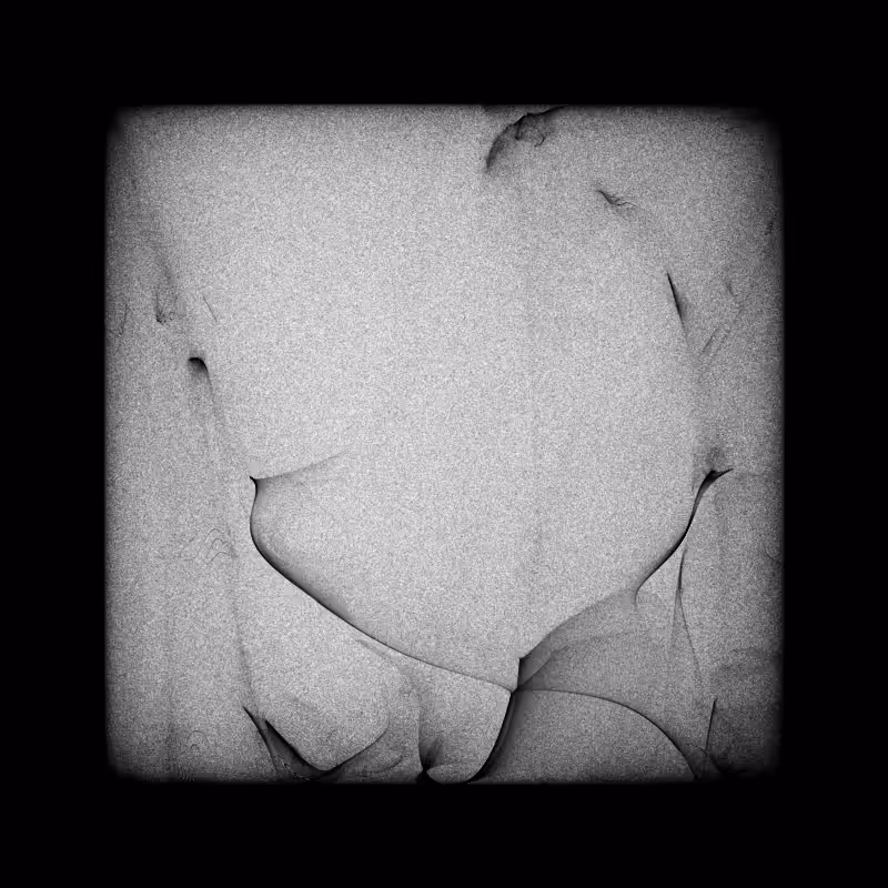 Bifurcation #104