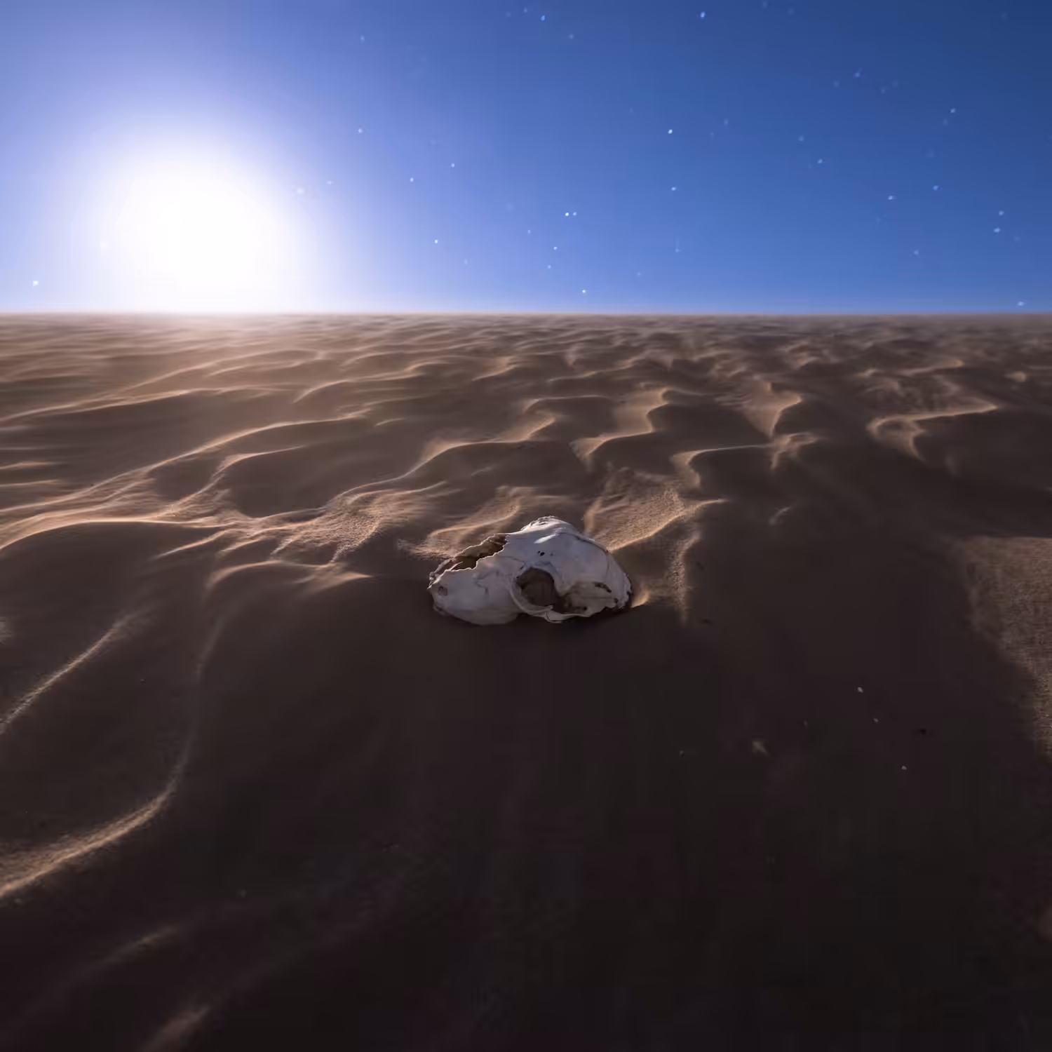 Sands of Time fig2 pt1 