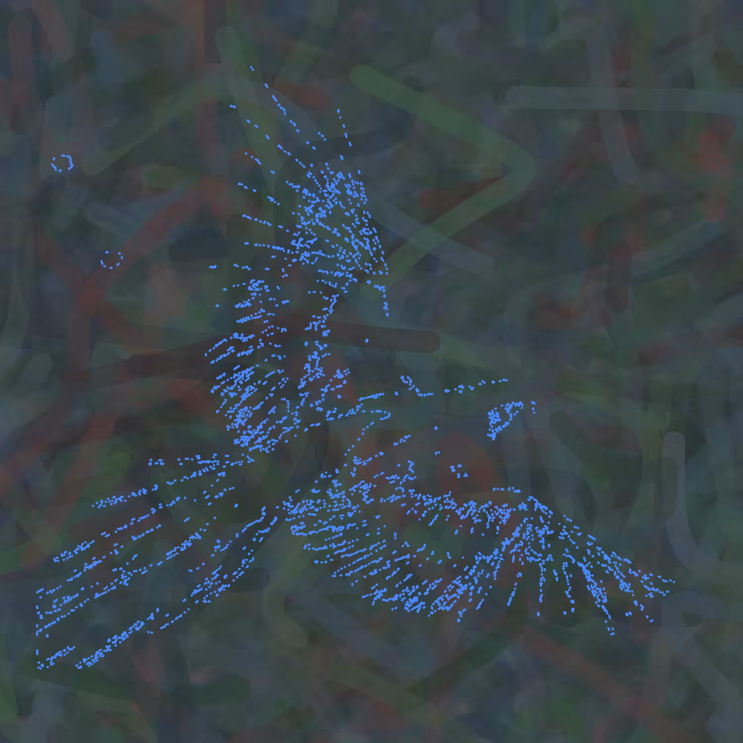 Ash Blue Bird