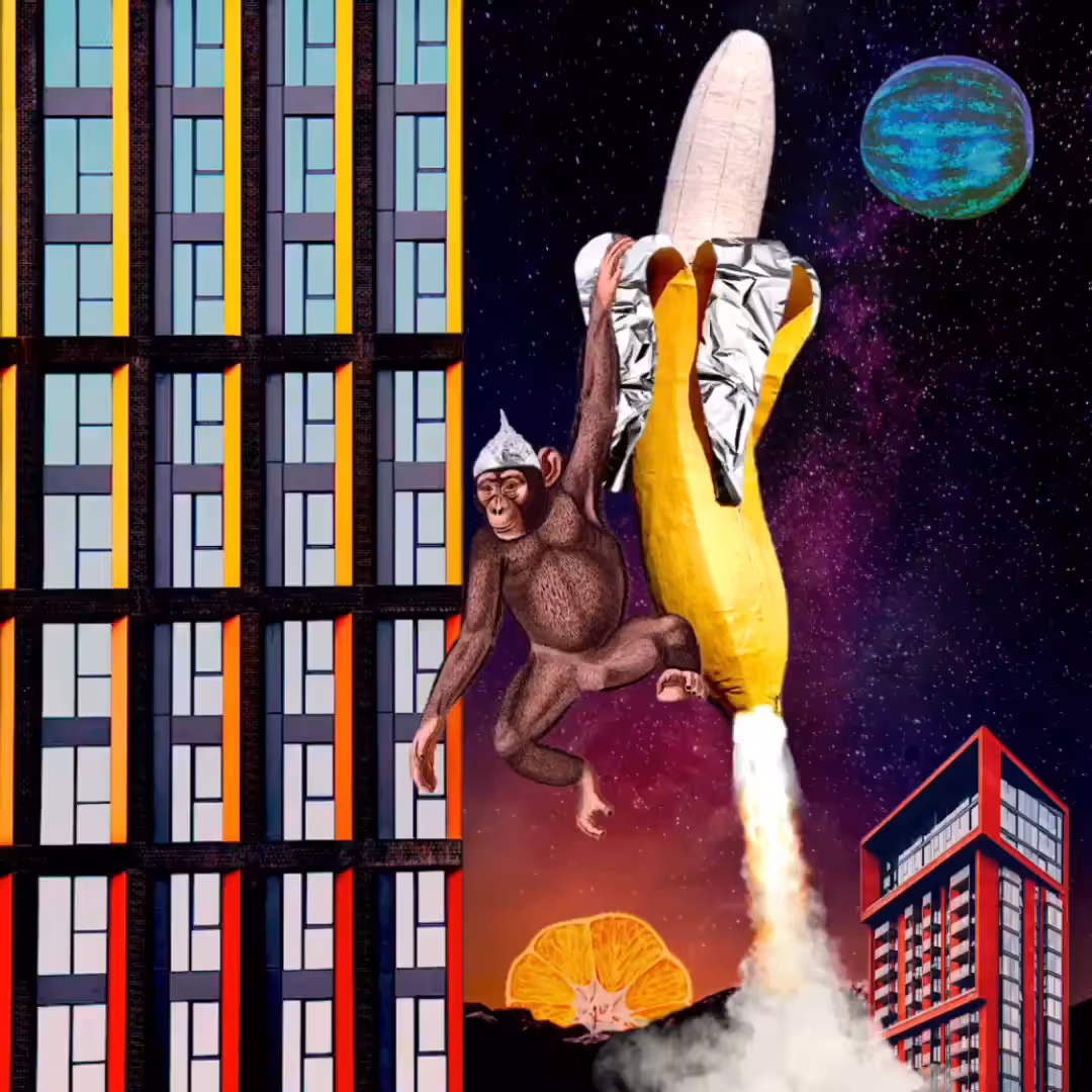 Chita goes to space