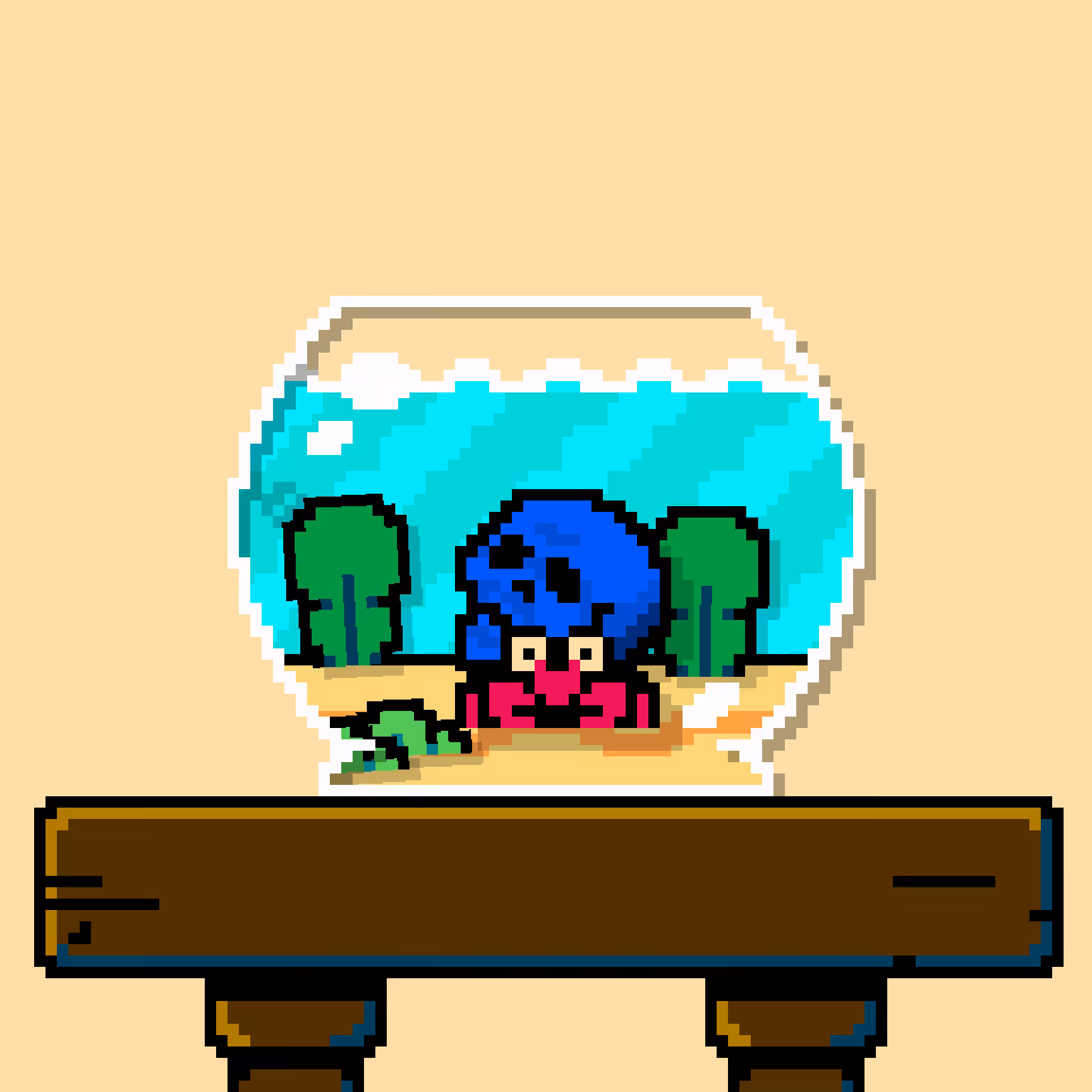 hermit crab #201