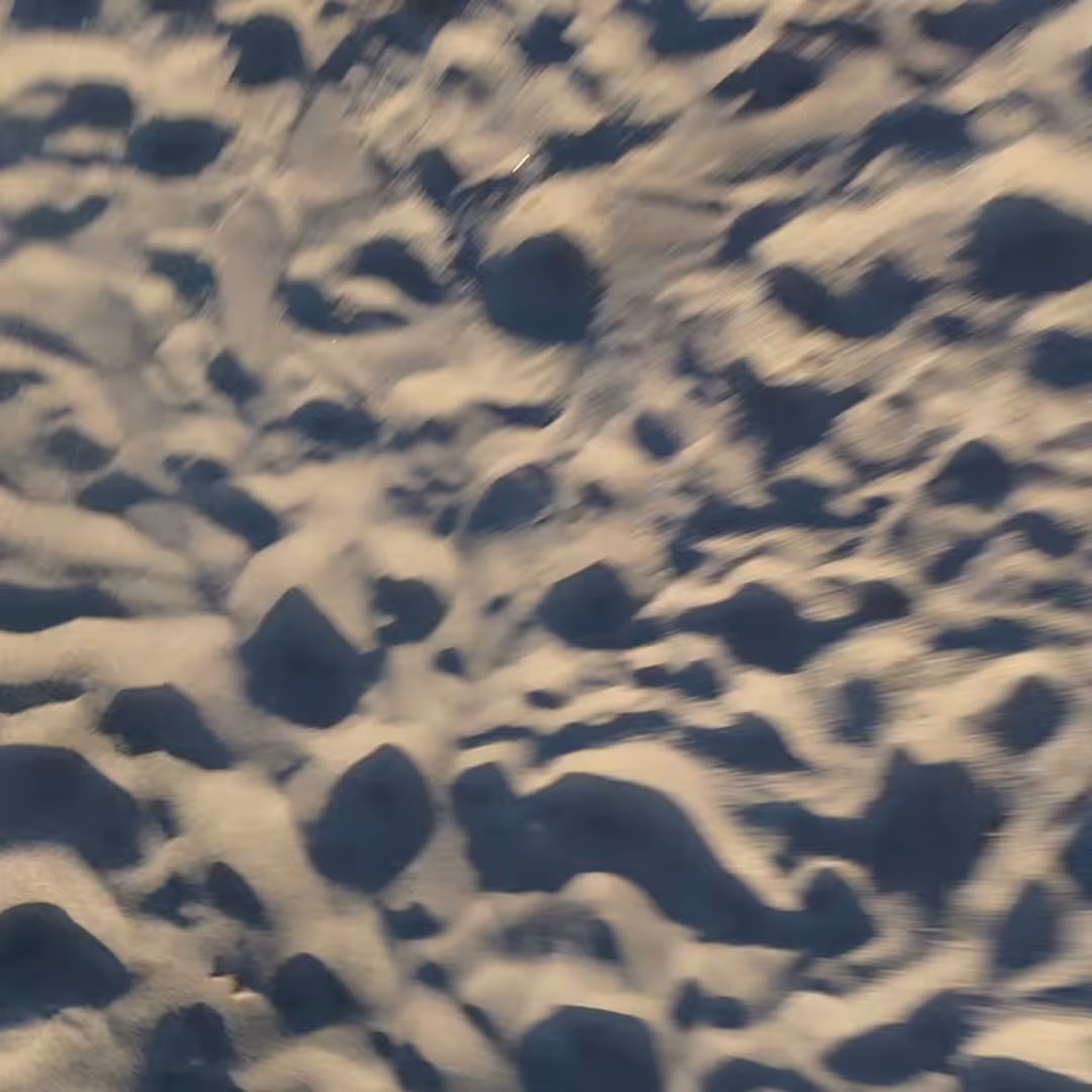 Sunset Sandscape