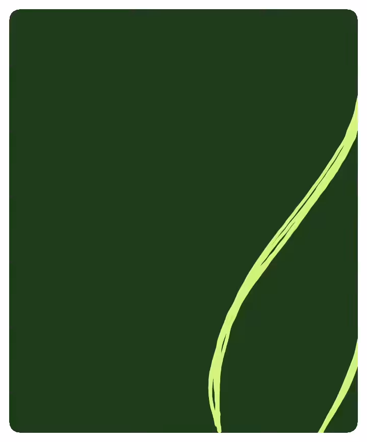 015 - Bird of Paradise