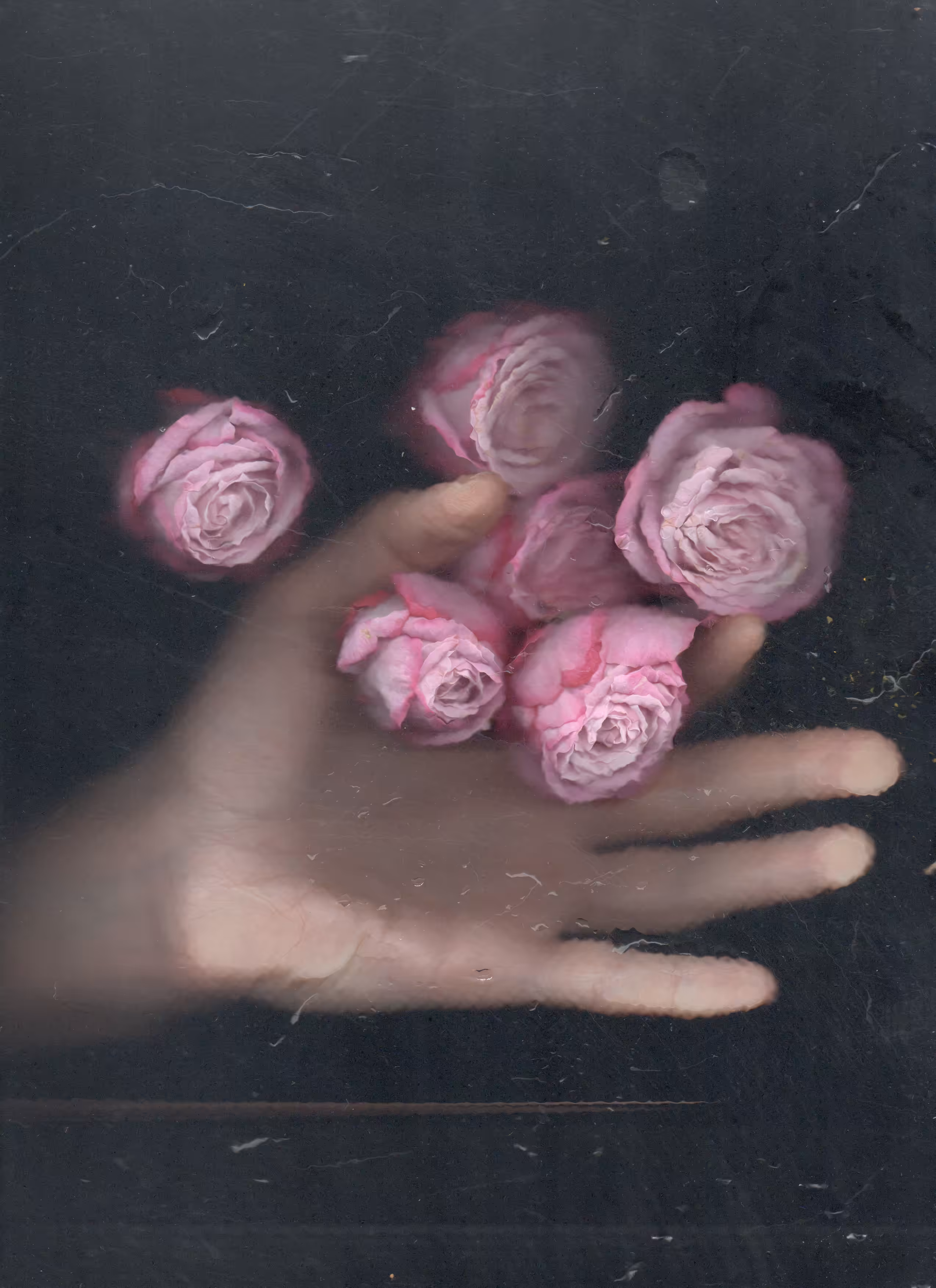 Scanography poster: Gift through the window