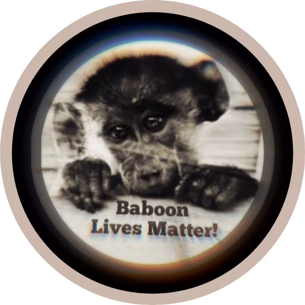 Baboon Boom Beats