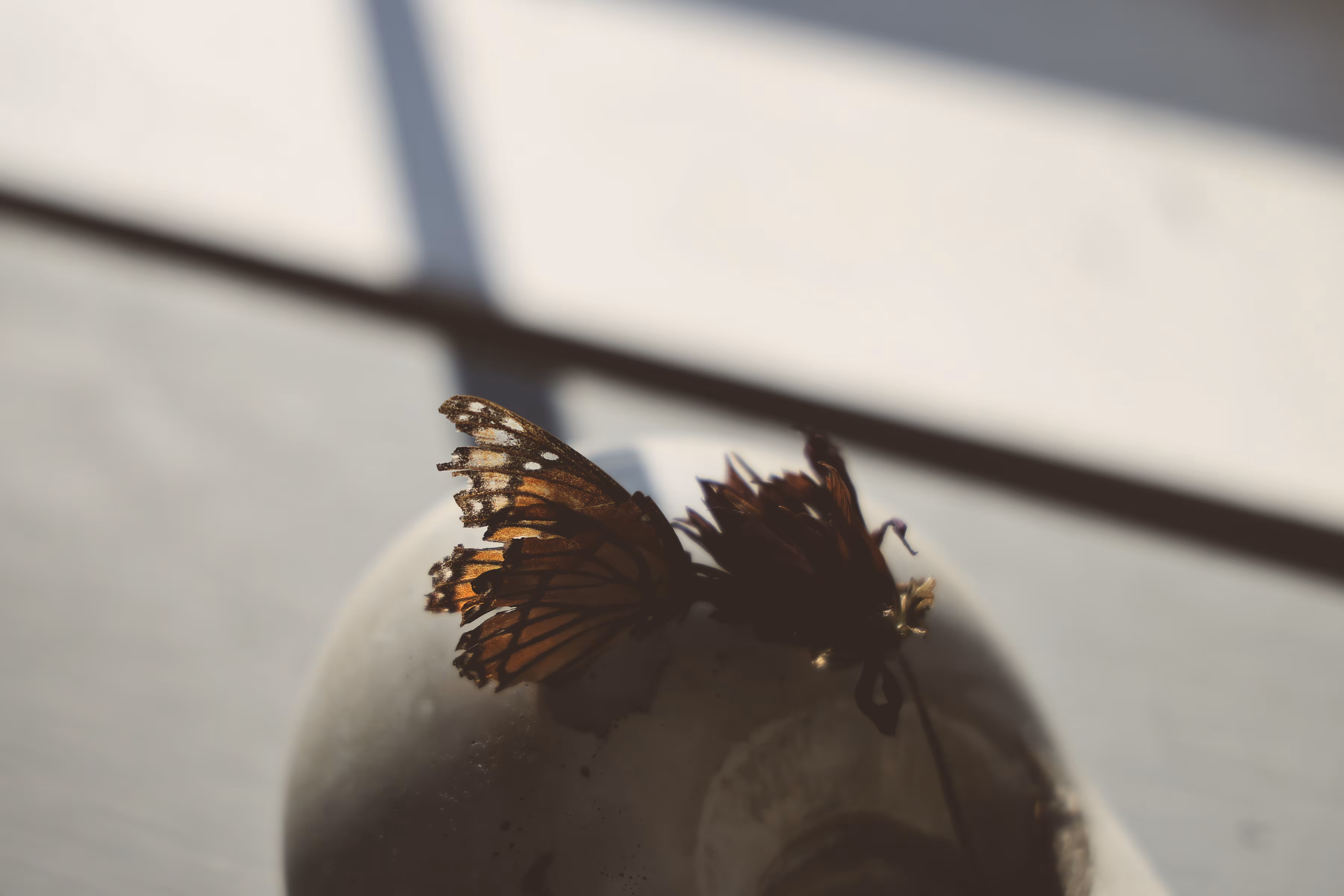_frayed edges