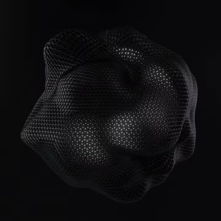 the shell