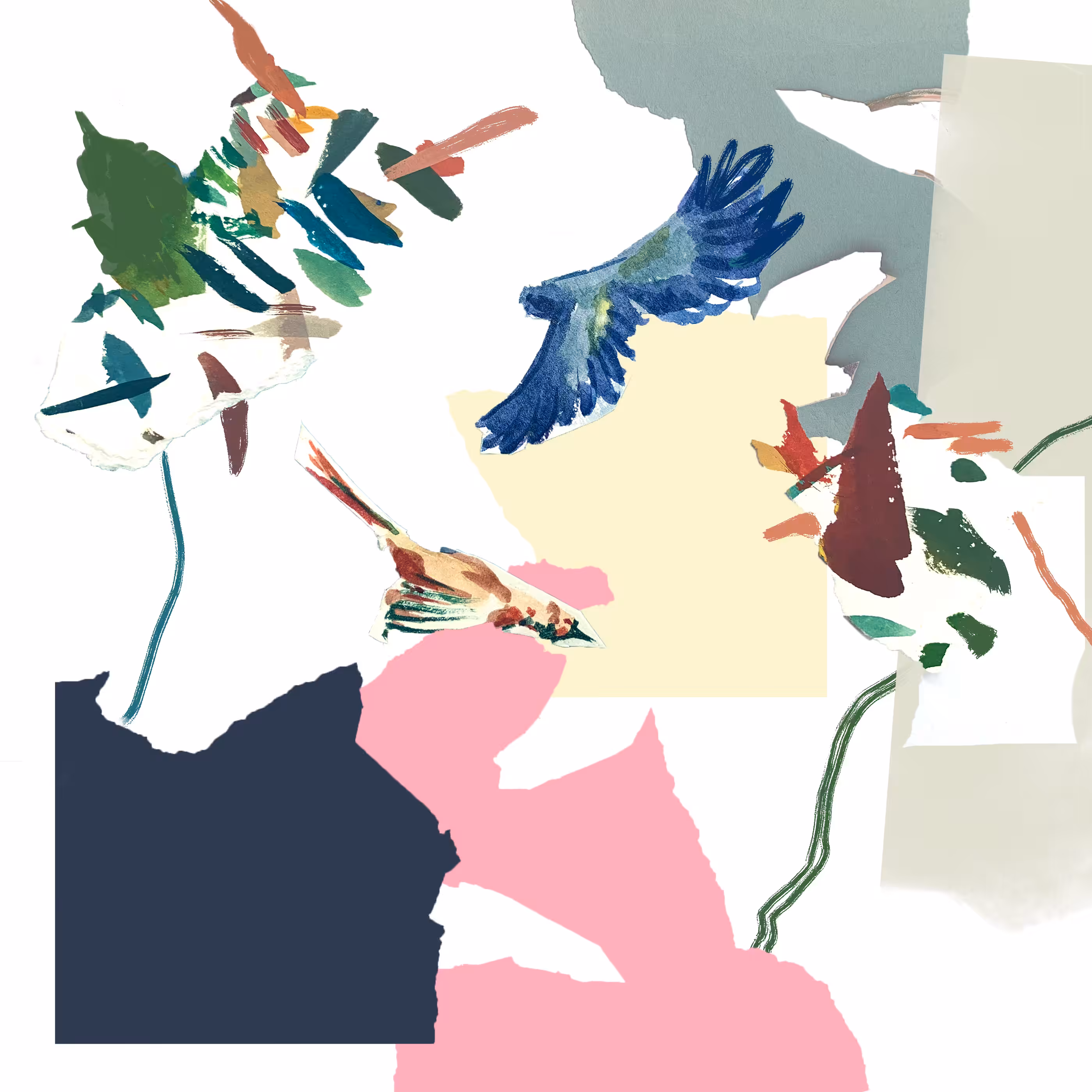 002 Birding