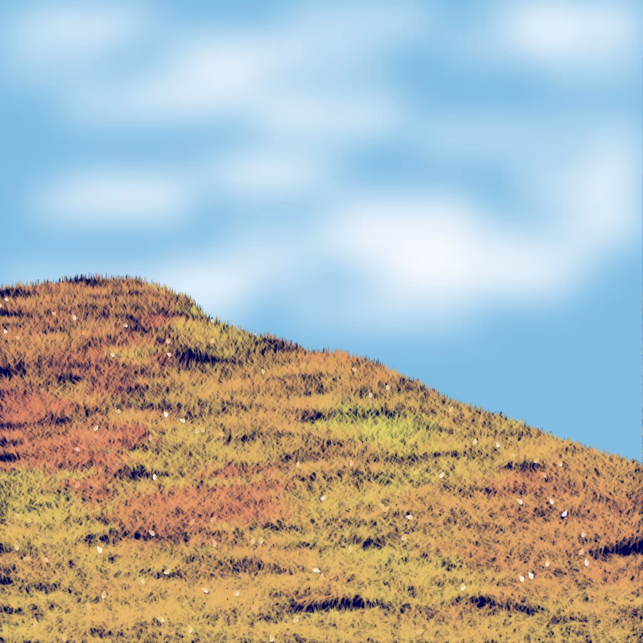 Grassy Knoll #1