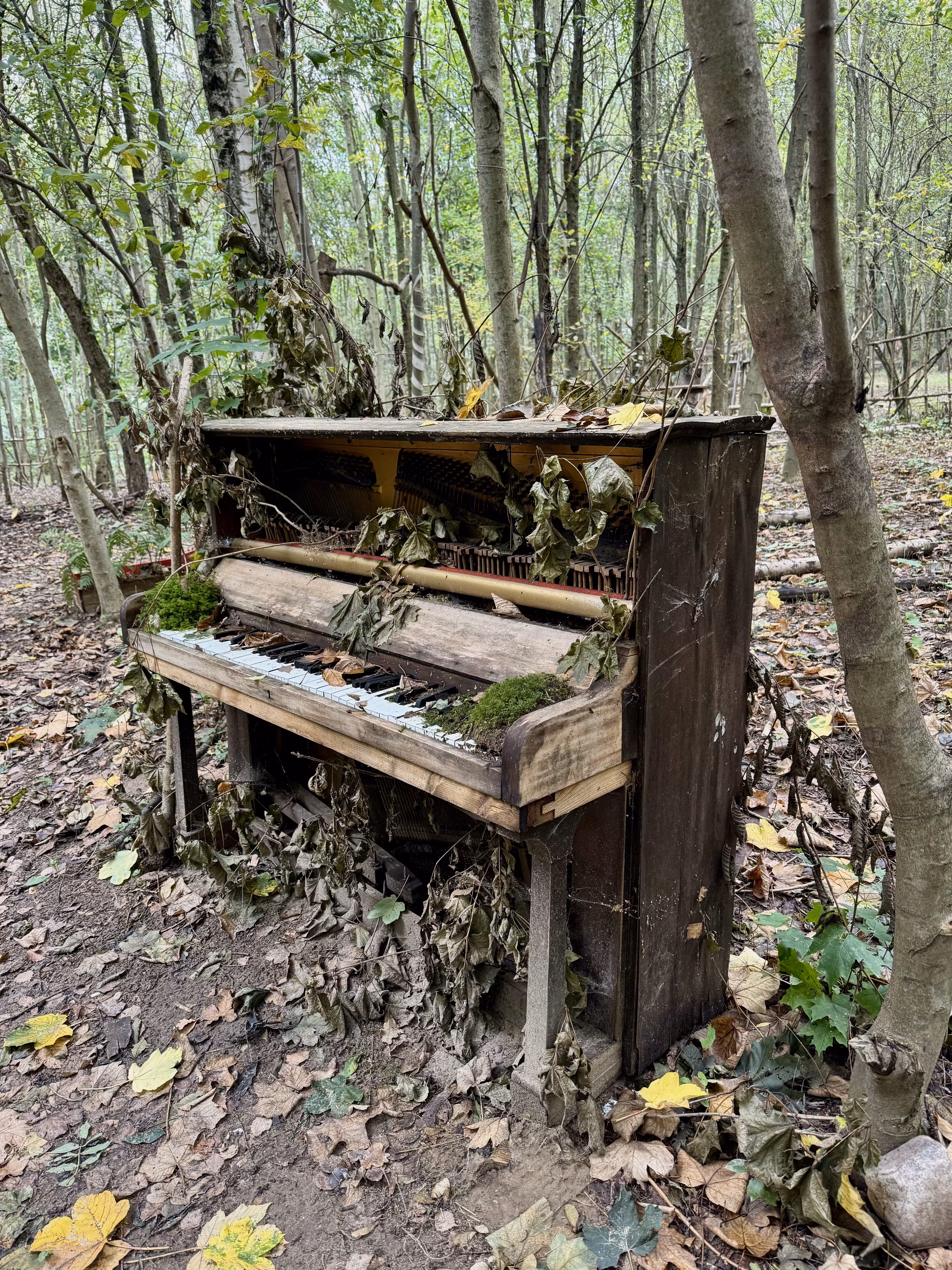 The lost Piano