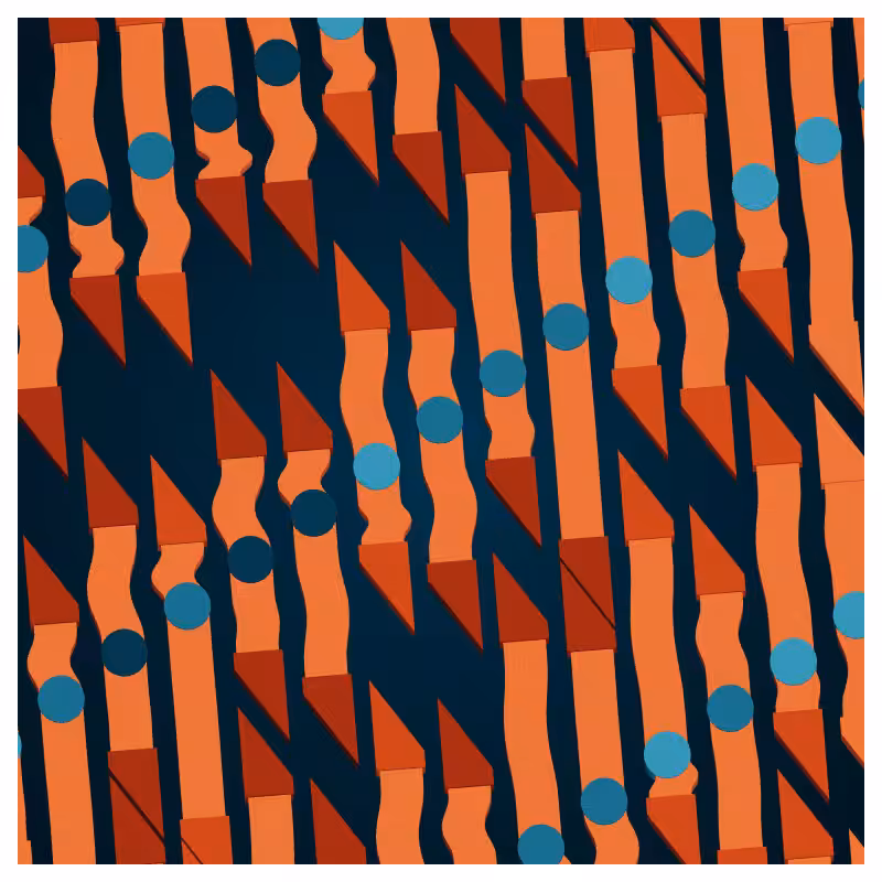 Neural Collapse #55