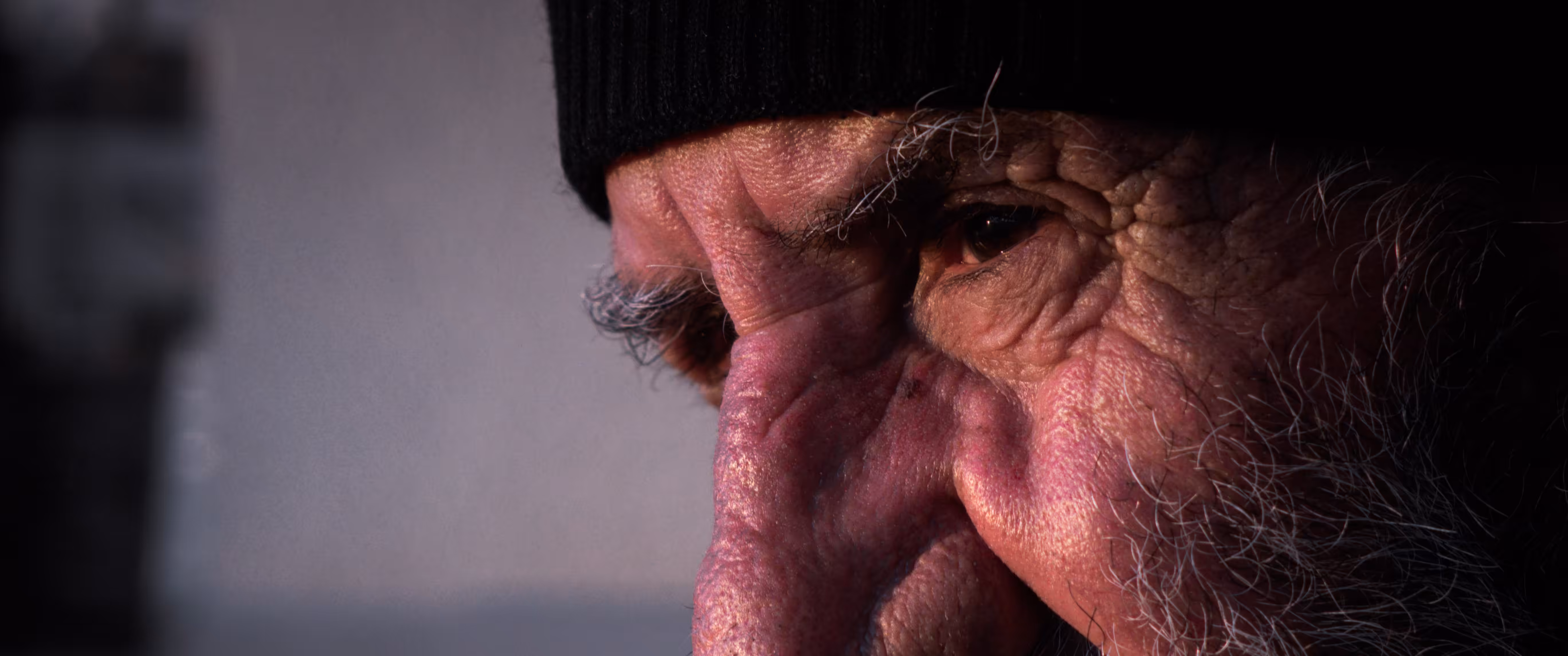 Cinematic Eyes I: The Historian