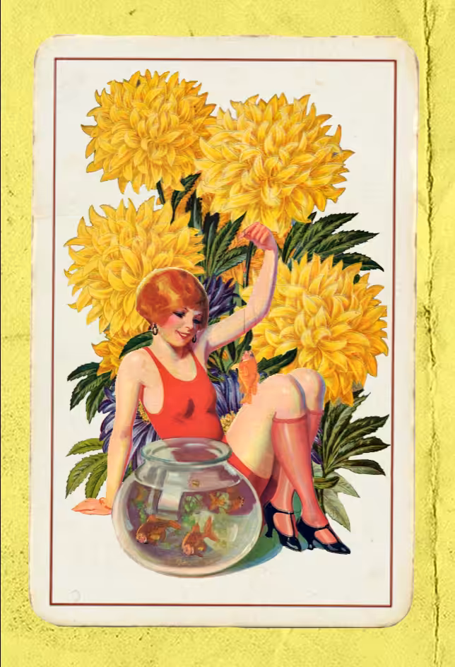 Paper Pinups 
