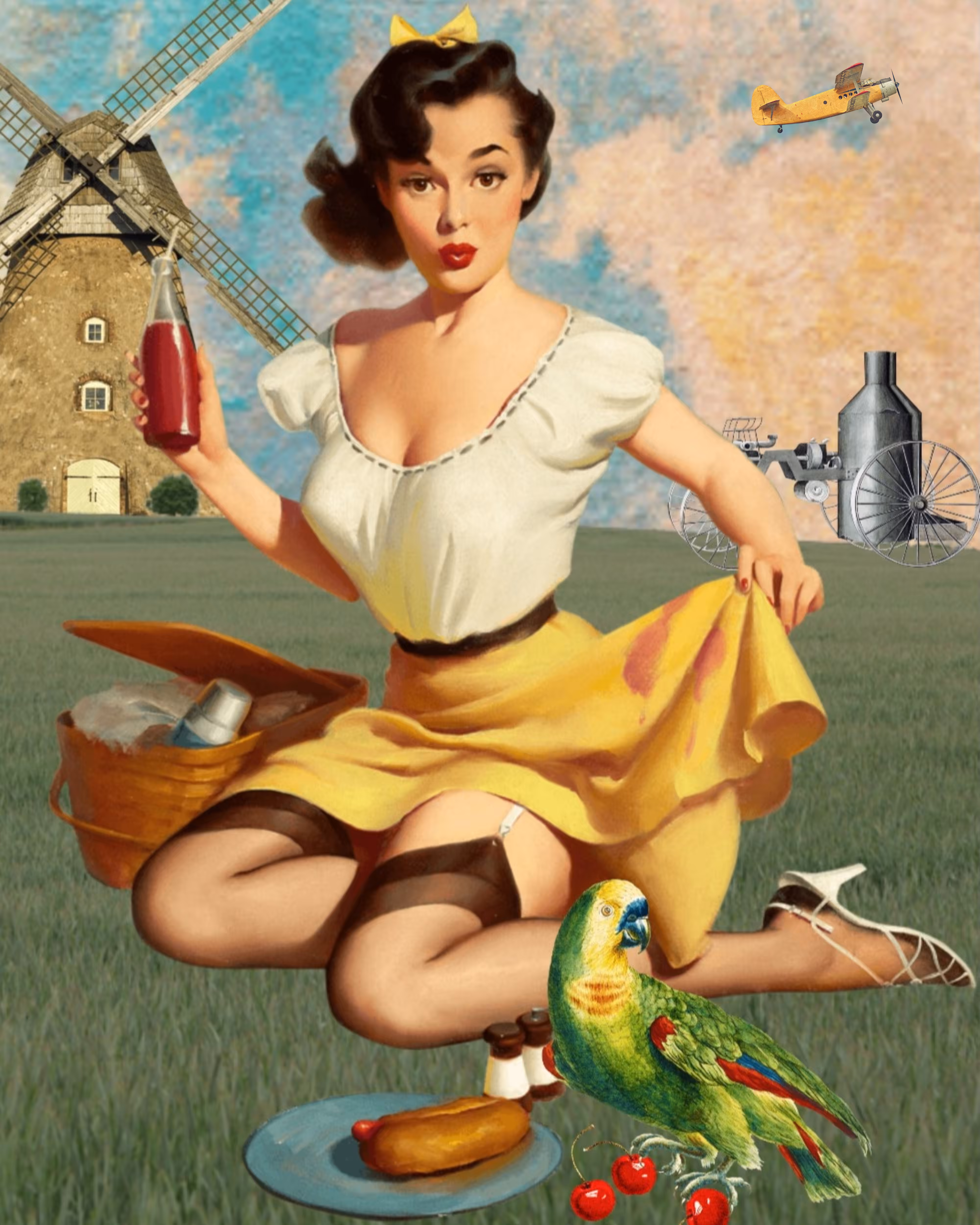 Oopsie Daisy Picnic
