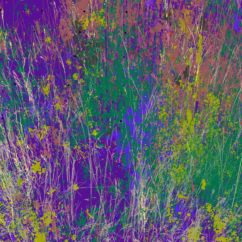 Infinite Garden: 73269 Flowers