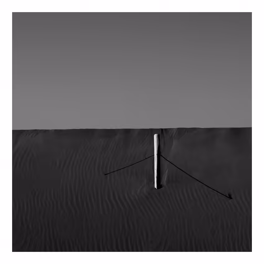 Loneliness