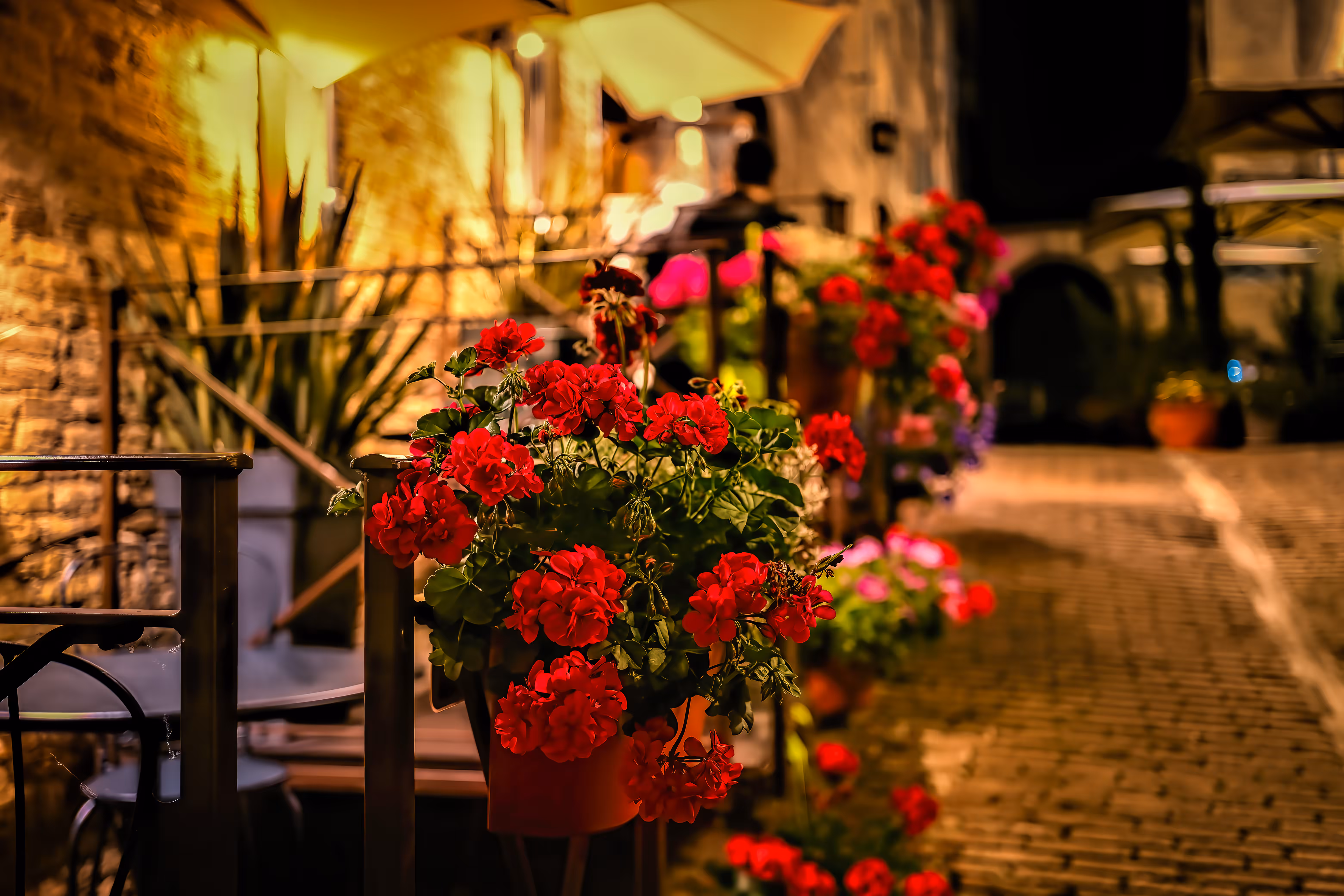 Photography for Advertising, Branding & Editorial: Urbino Midnight Blooms 