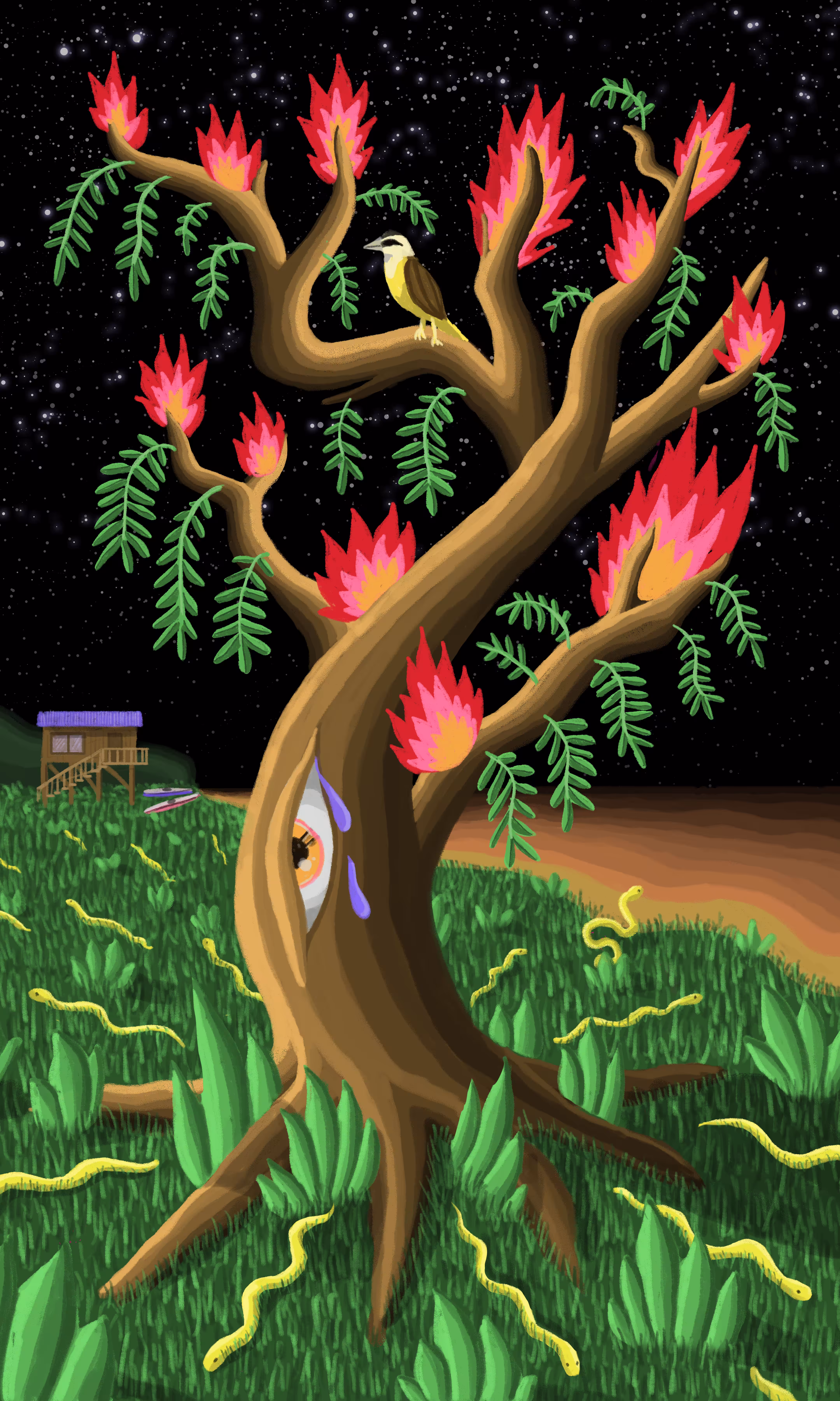 Wetland Burning 1/1