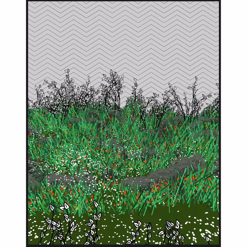 Contours #8