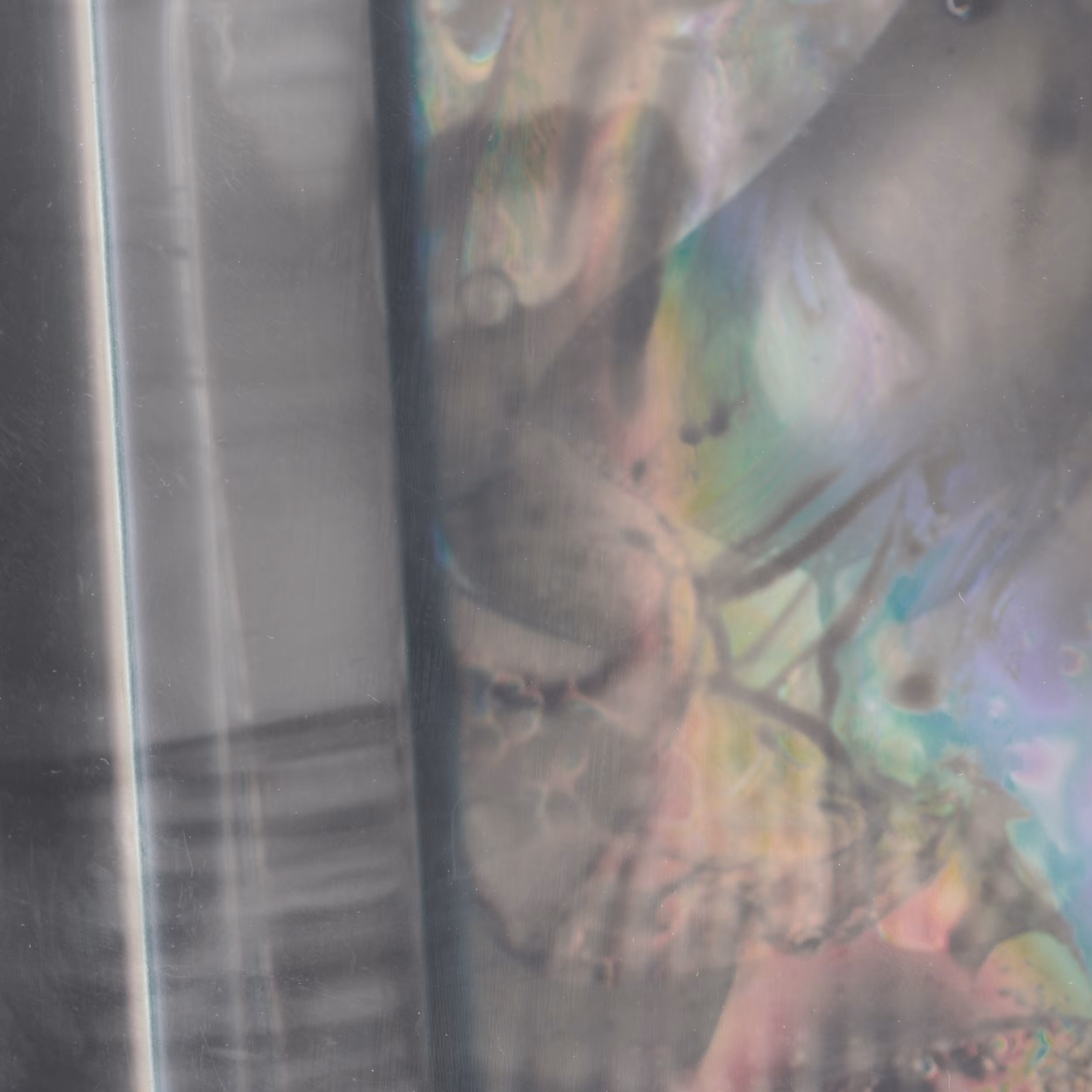 Transparent light (Privacy Portraits)
