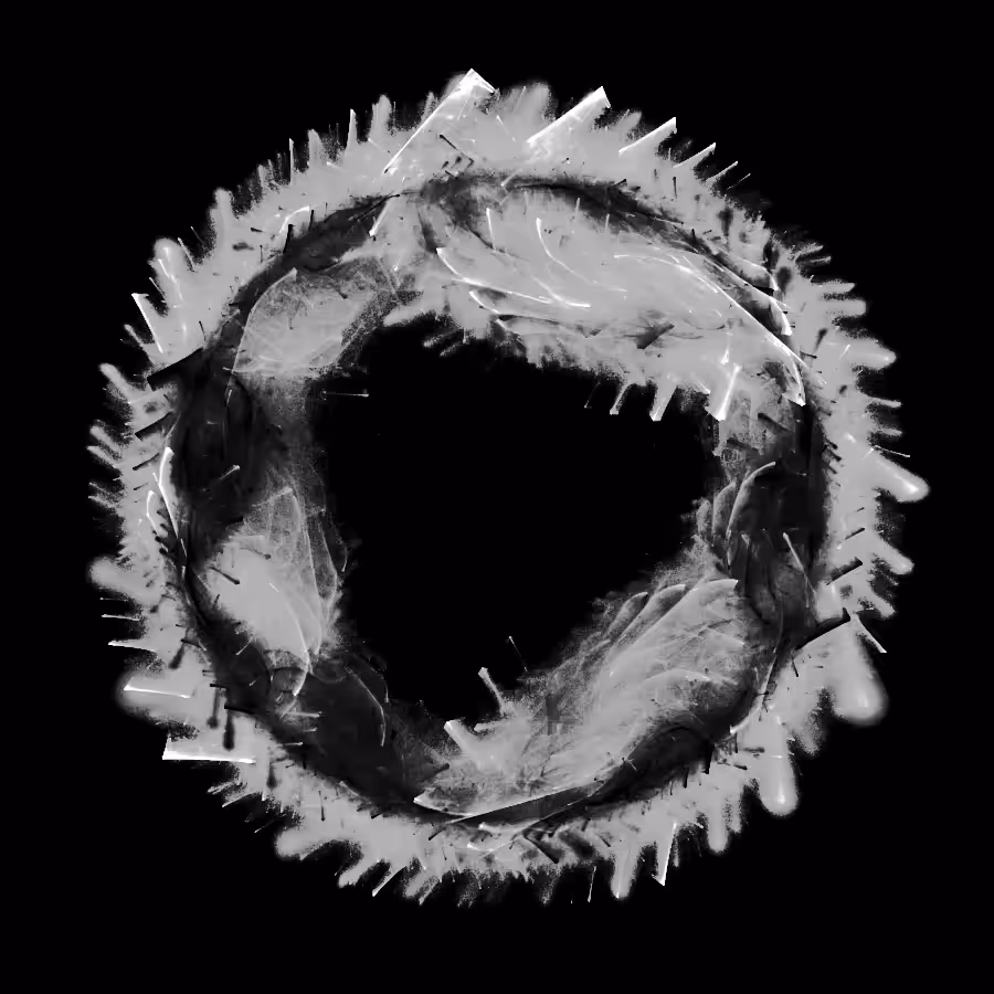 Orbit