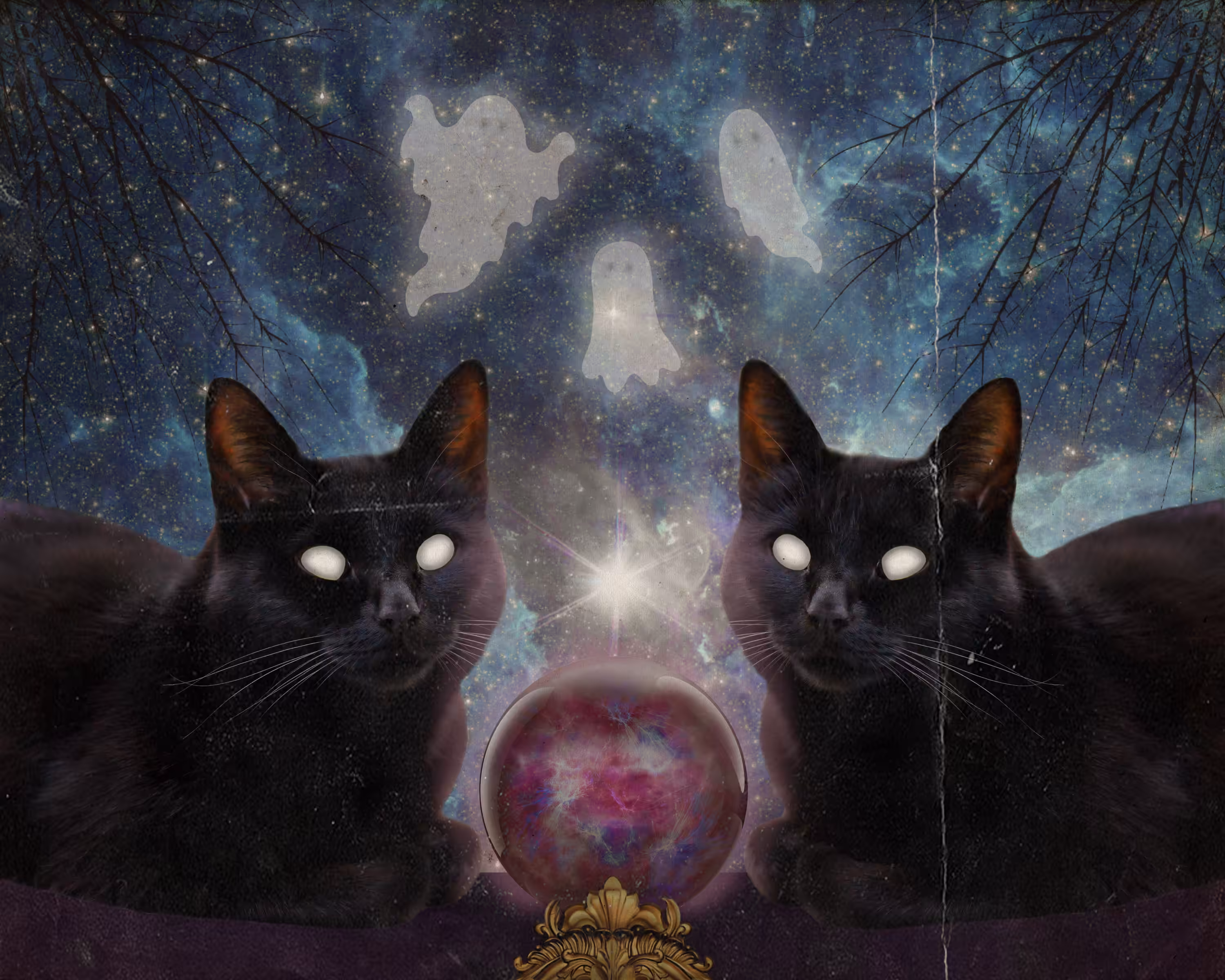 The Oracles