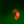Blender Studies 41.09.px (Amœboid Paradigm)